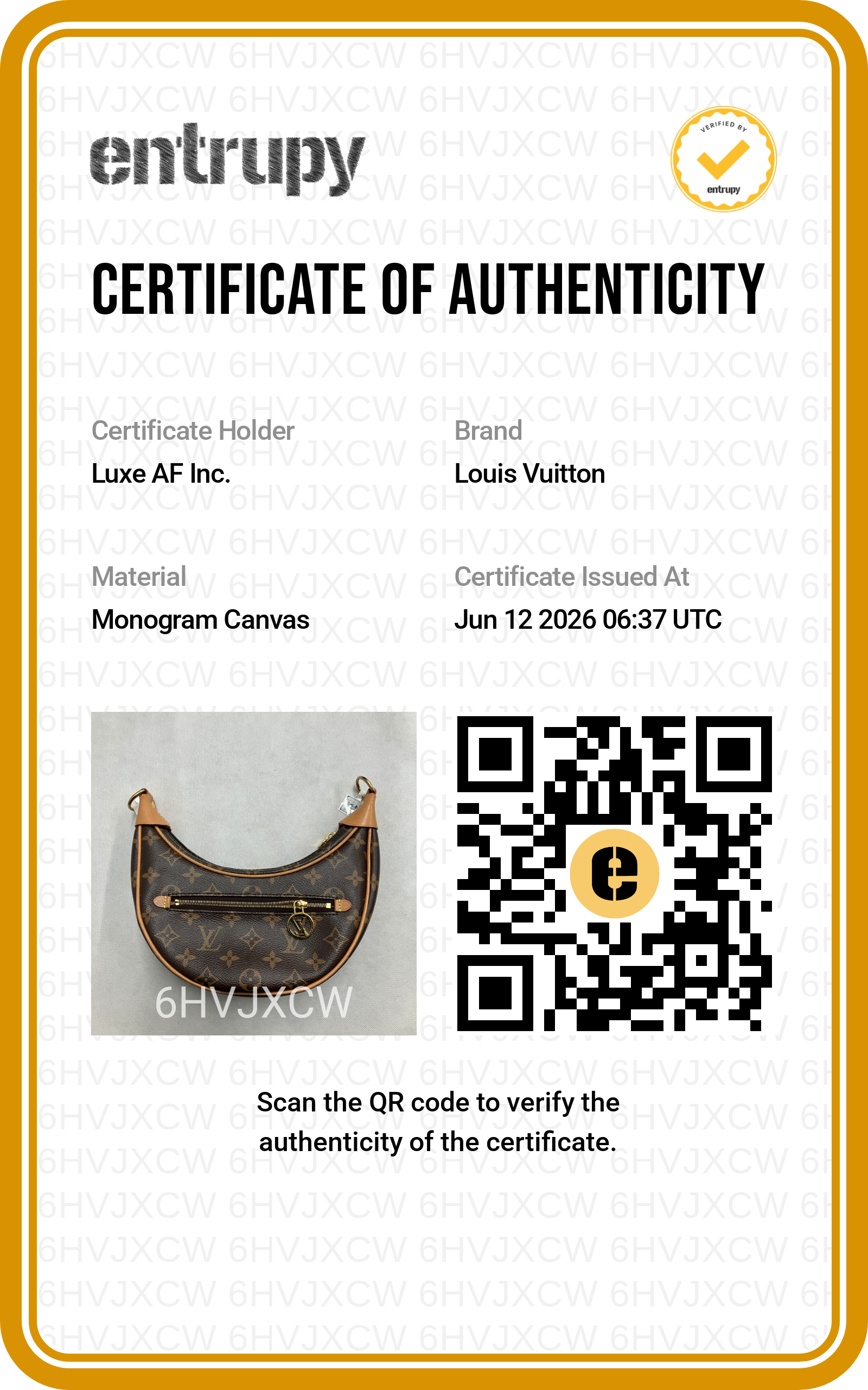 Louis Vuitton Loop Monogram Canvas Shoulder Bag LV3025
