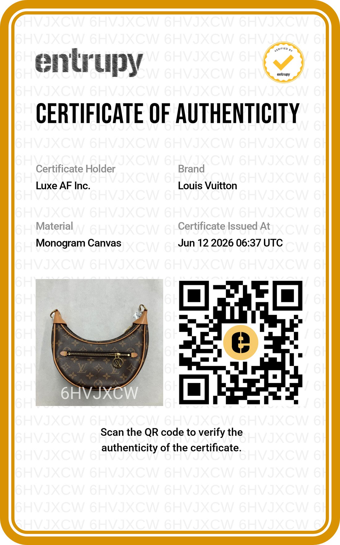 Louis Vuitton Loop Monogram Canvas Shoulder Bag LV3025