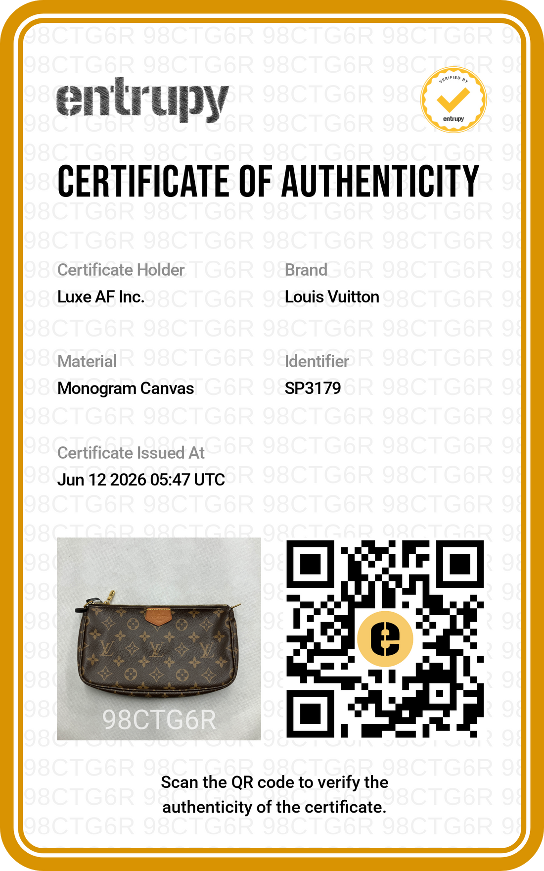 Louis Vuitton Brown Monogram Canvas Multi Pochette Accessoires LV3031