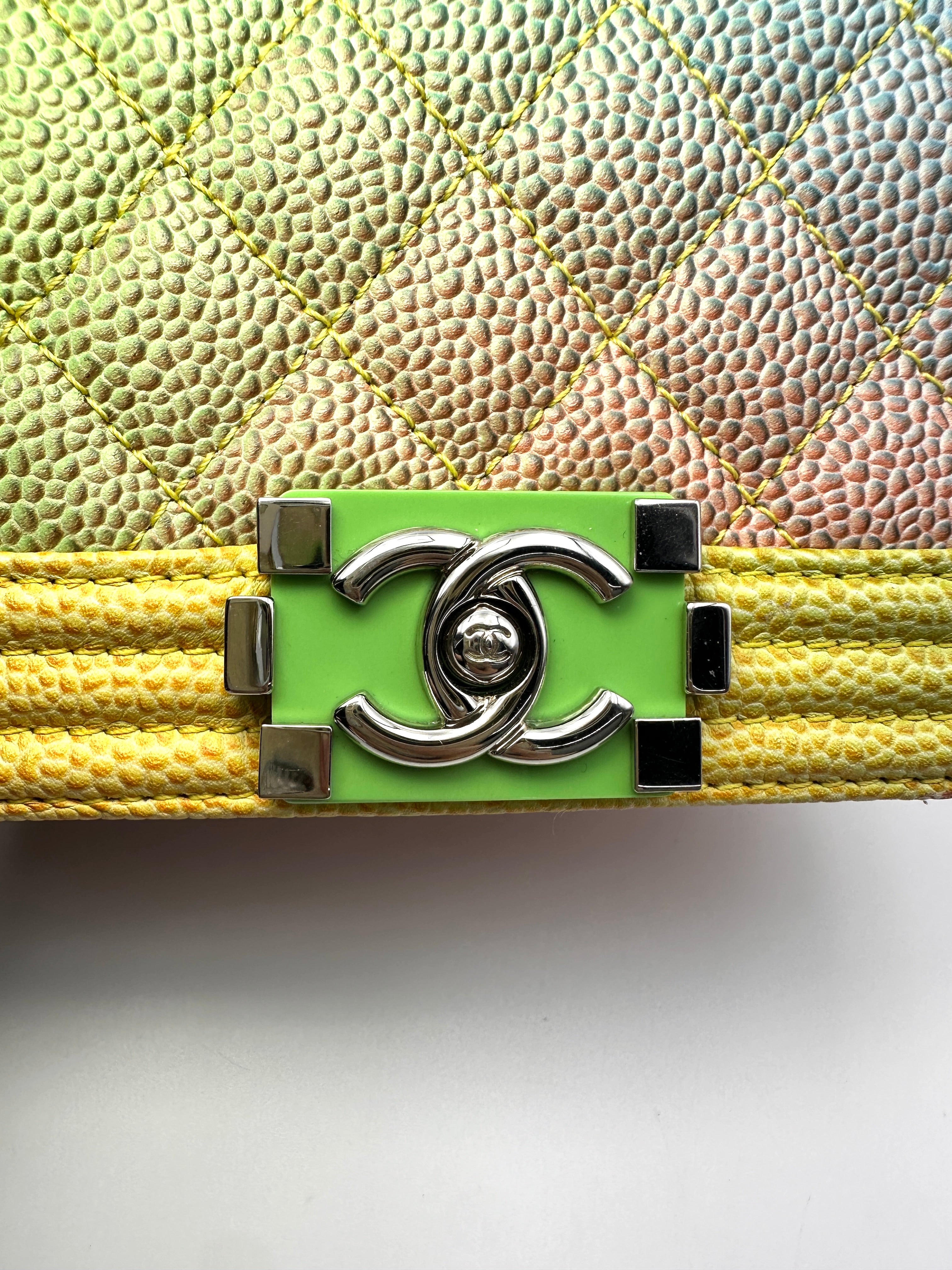 Chanel LeBoy Rainbow Pastel Ombre Quilted Leather Mini Flap Bag(22***30) IRIS241