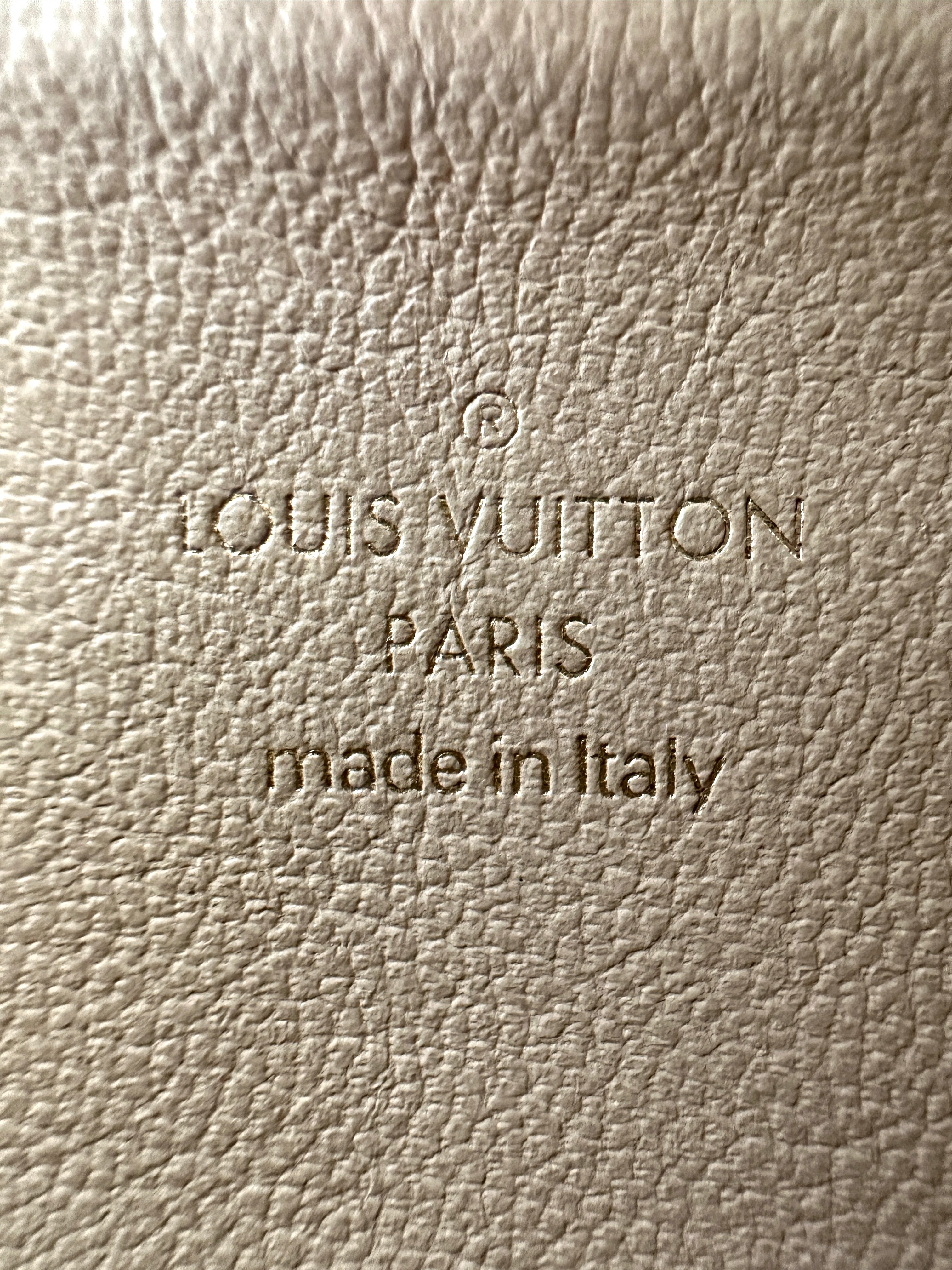 Louis Vuitton Coussin BB Tricolor Monogram Embossed Puffy Leather Shoulder Bag LV3035