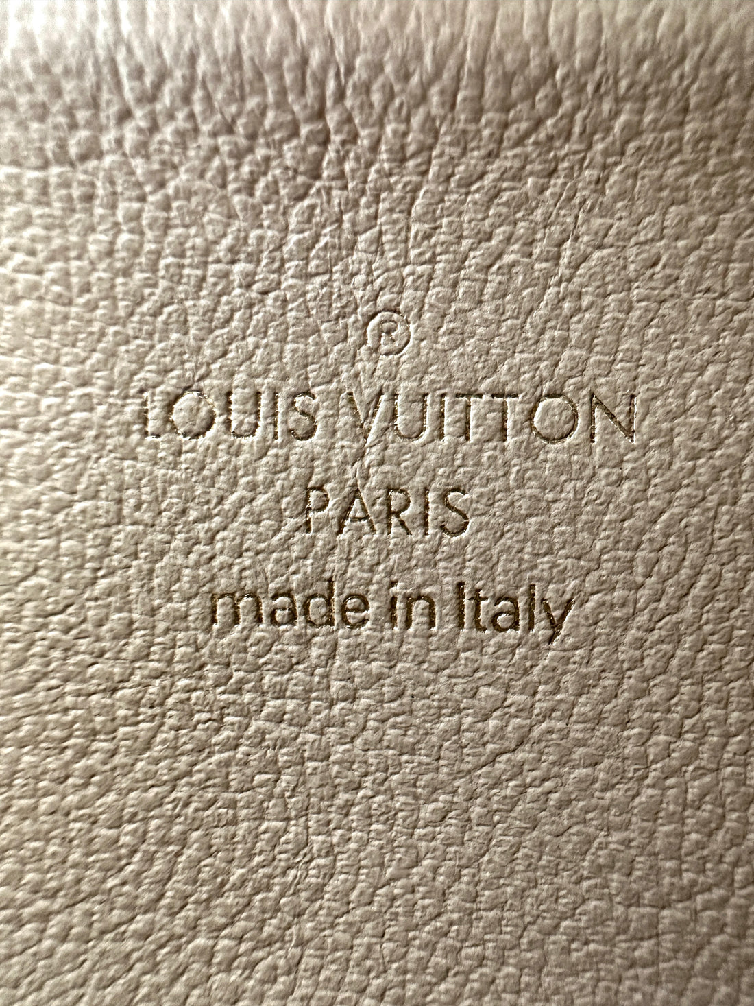 Louis Vuitton Coussin BB Tricolor Monogram Embossed Puffy Leather Shoulder Bag LV3035
