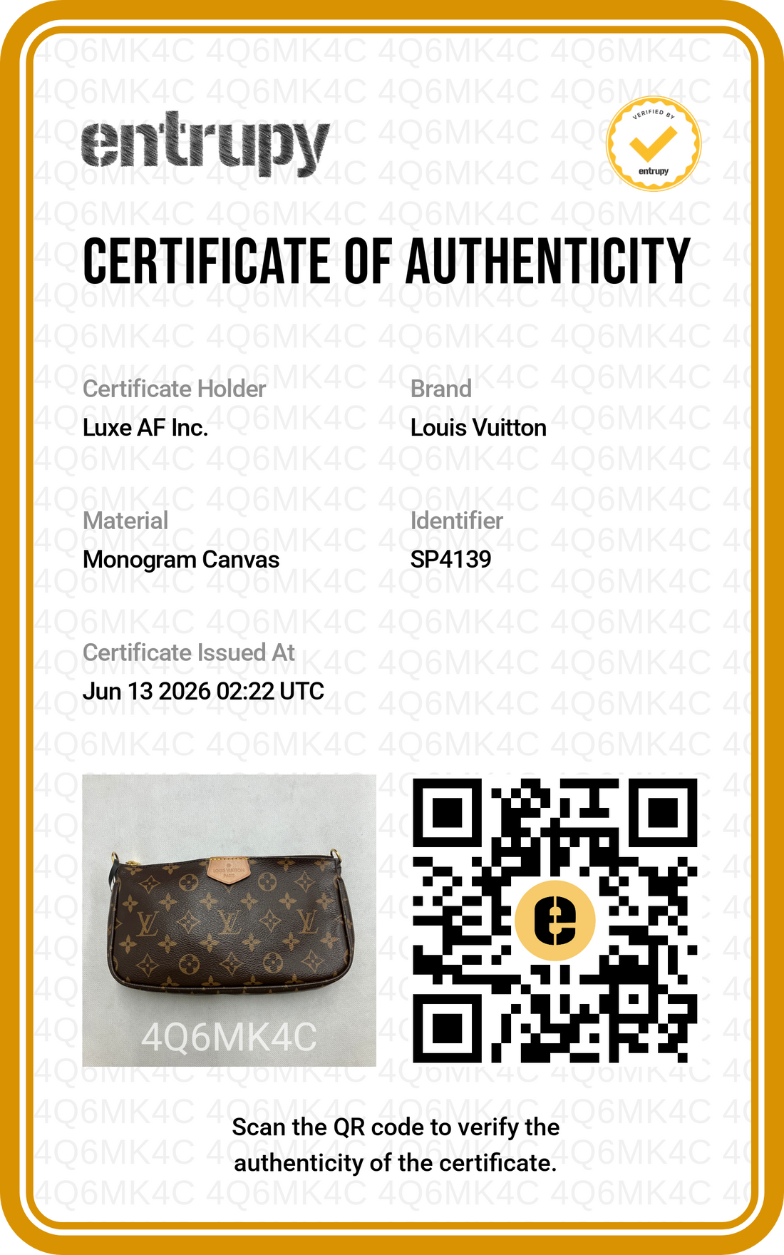 Louis Vuitton Brown Monogram Canvas Multi Pochette Accessoires LV3033