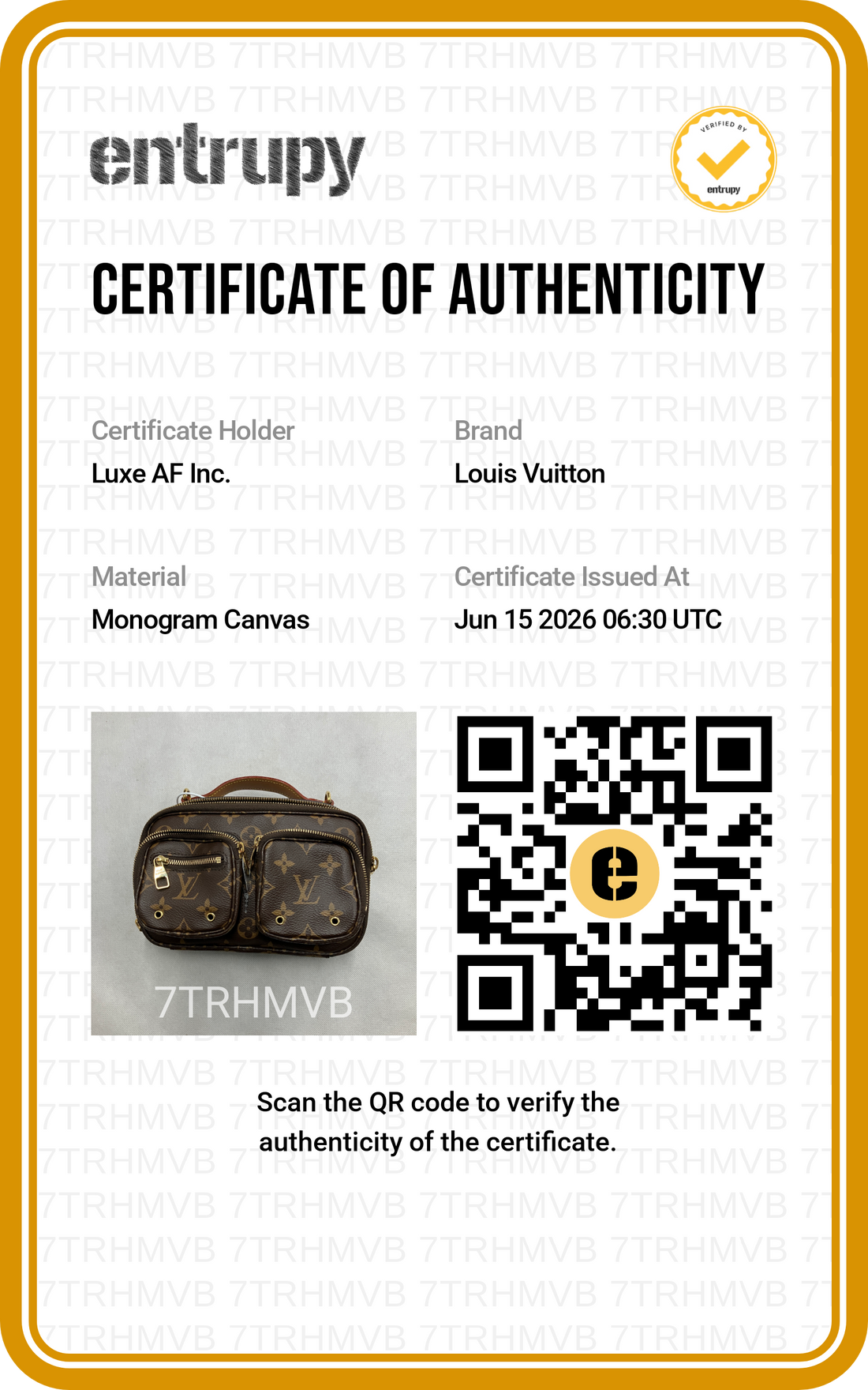 Louis Vuitton Utility Crossbody Monogram Canvas Handle Bag LV3041
