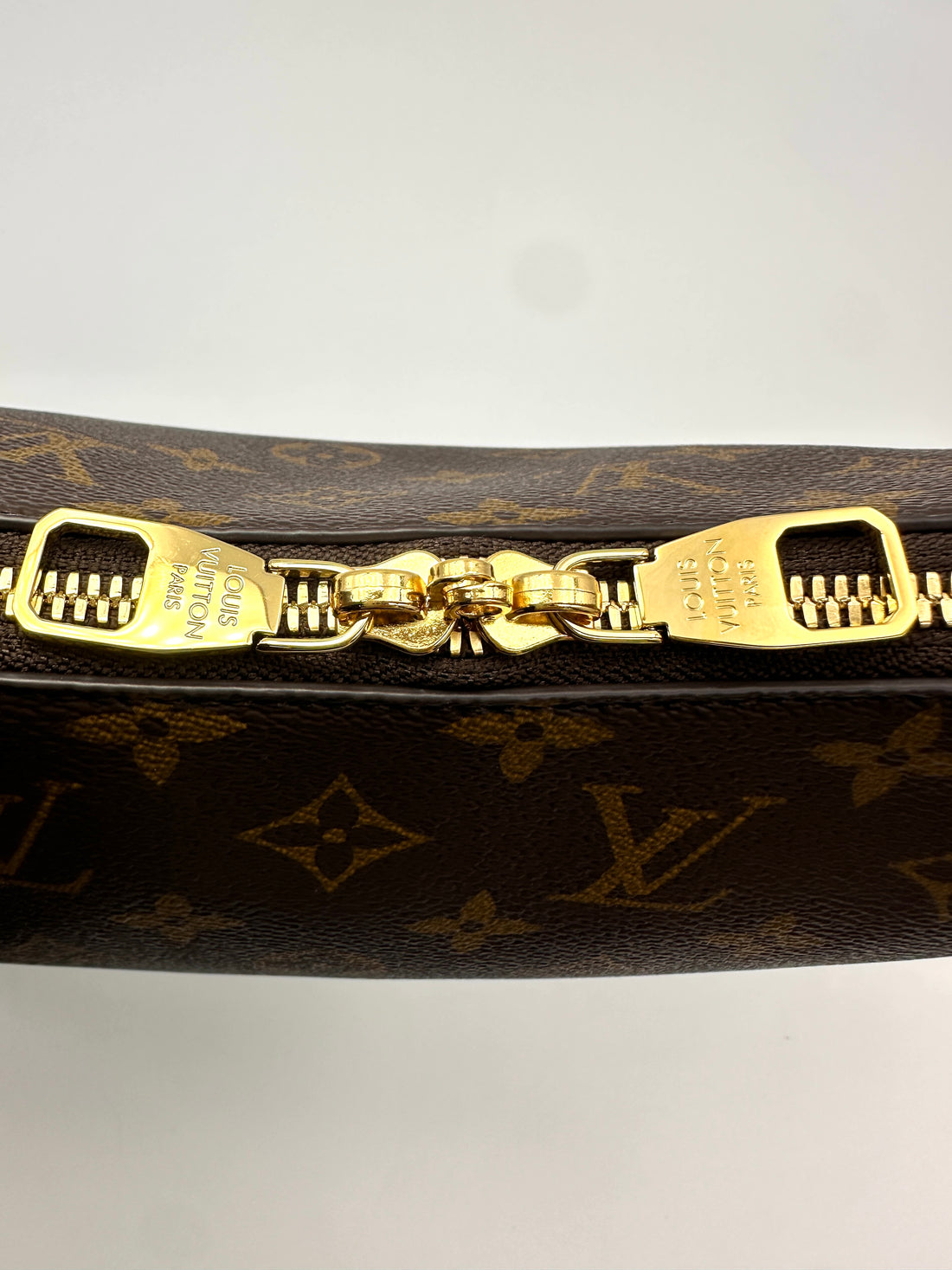 Louis Vuitton Monogram Canvas Hobo Bag LVP