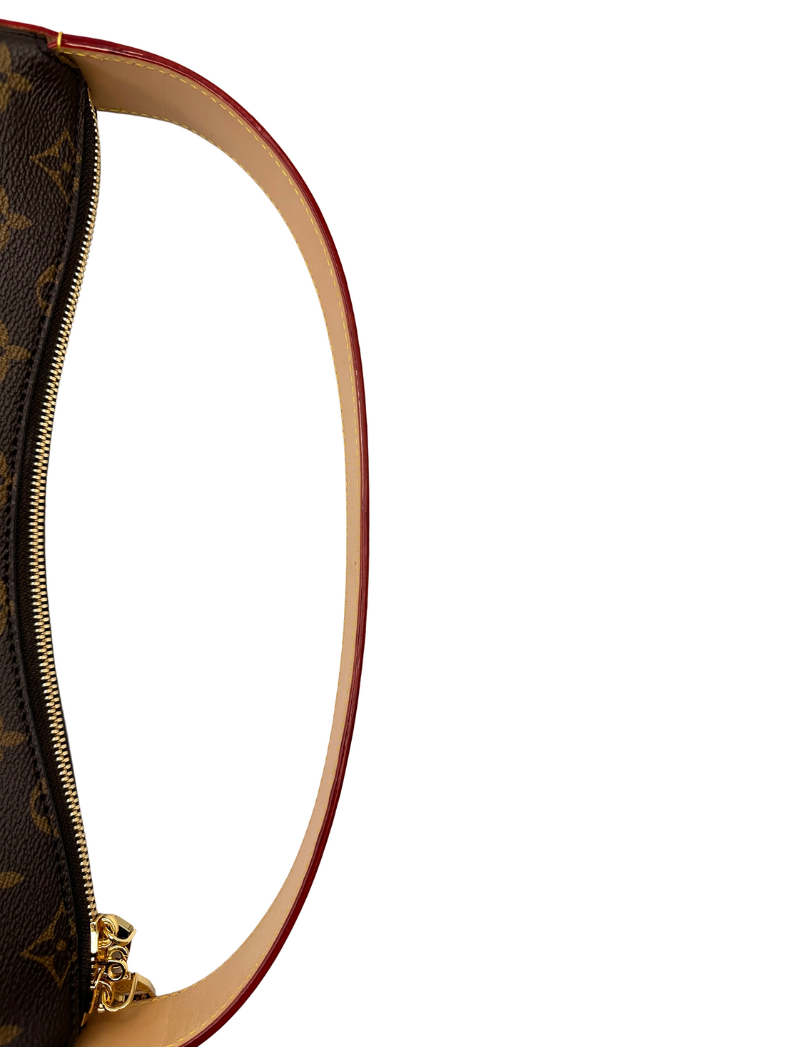 Louis Vuitton Monogram Canvas Hobo Bag LVP