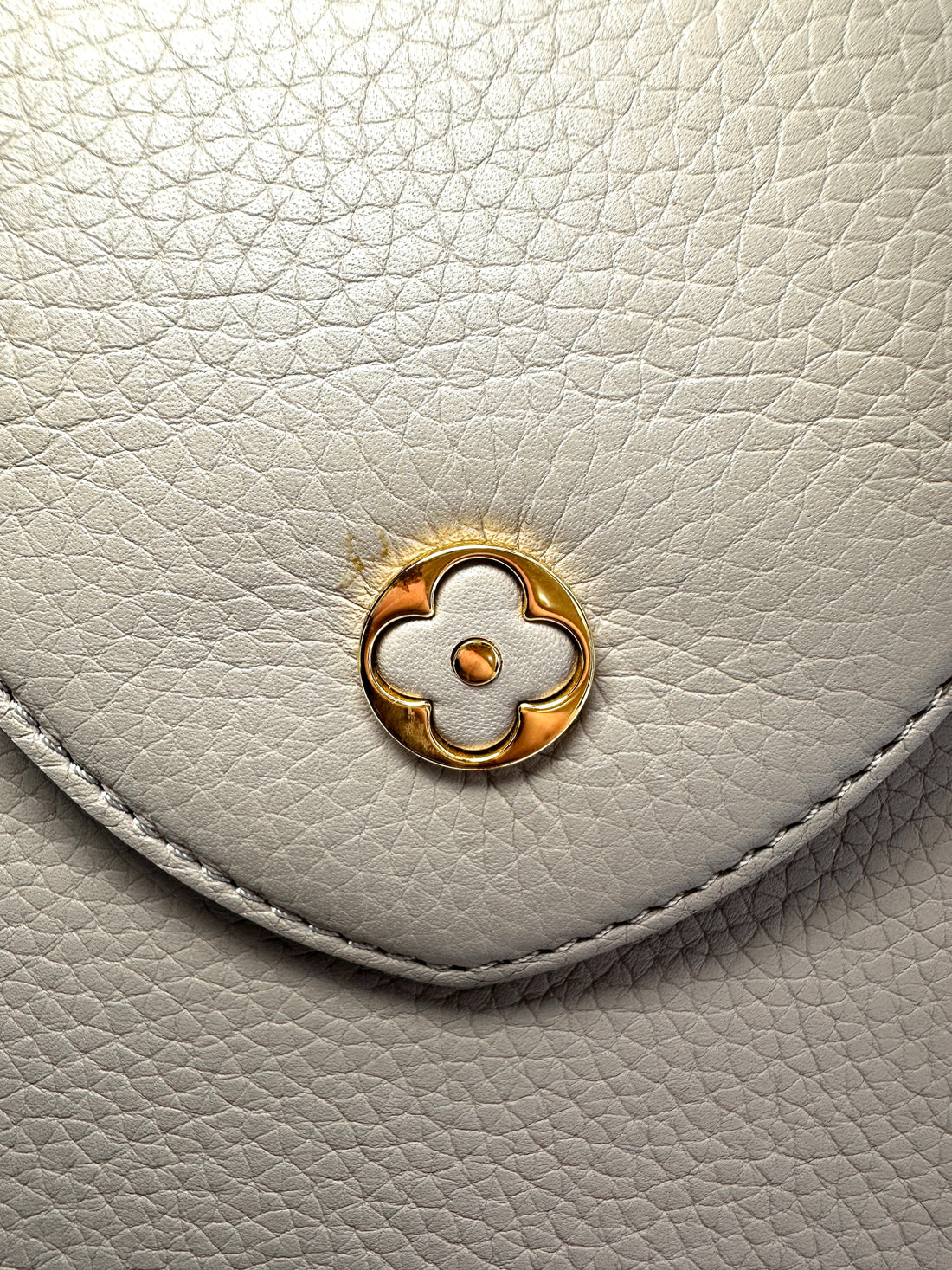 Louis Vuitton Capucines Grey Taurillon Leather Python Handle Bag LV3059