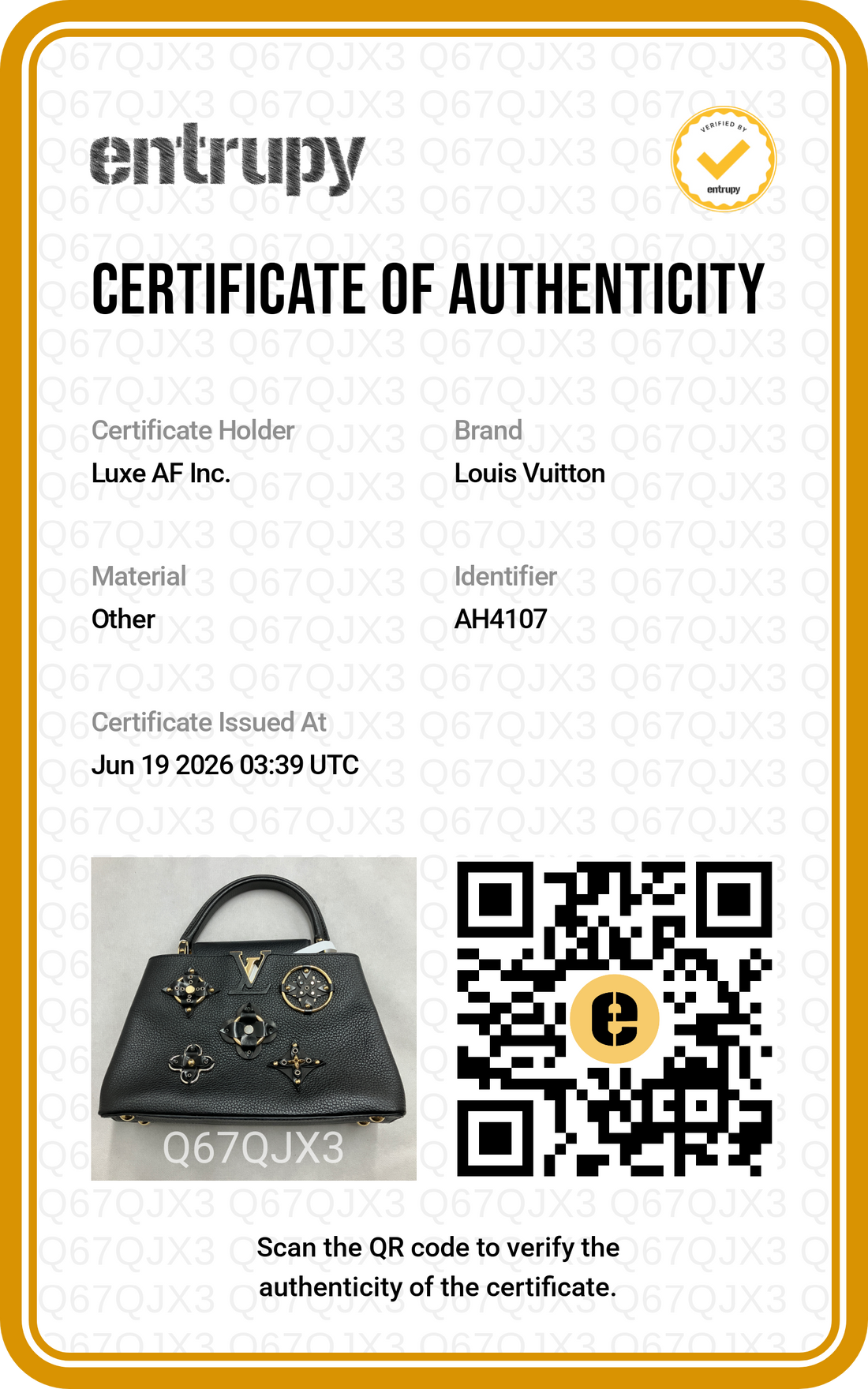 Louis Vuitton Capucines Black Monogram Flowers Top Handle Bag LV3064