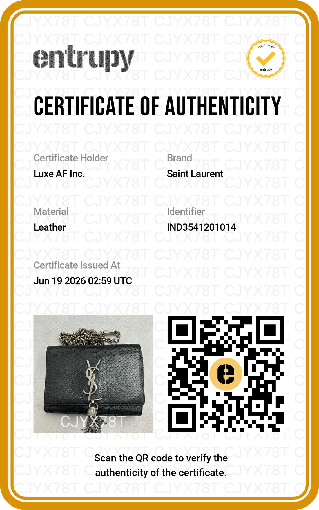 Saint Laurent Kate Tassel Black Python Leather Small Size Shoulder Bag SL264
