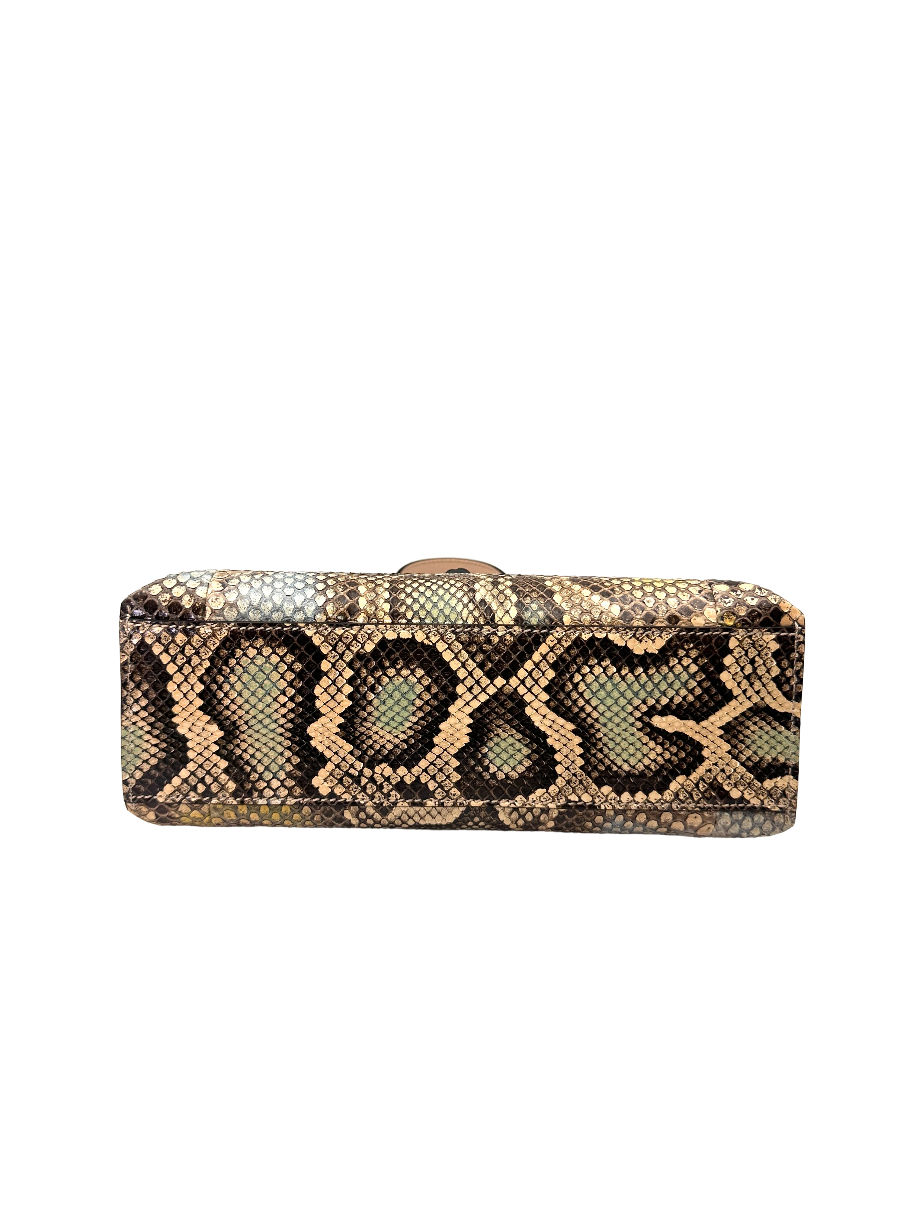Gucci Bamboo Daily Python Leather Handle Bag GG1351