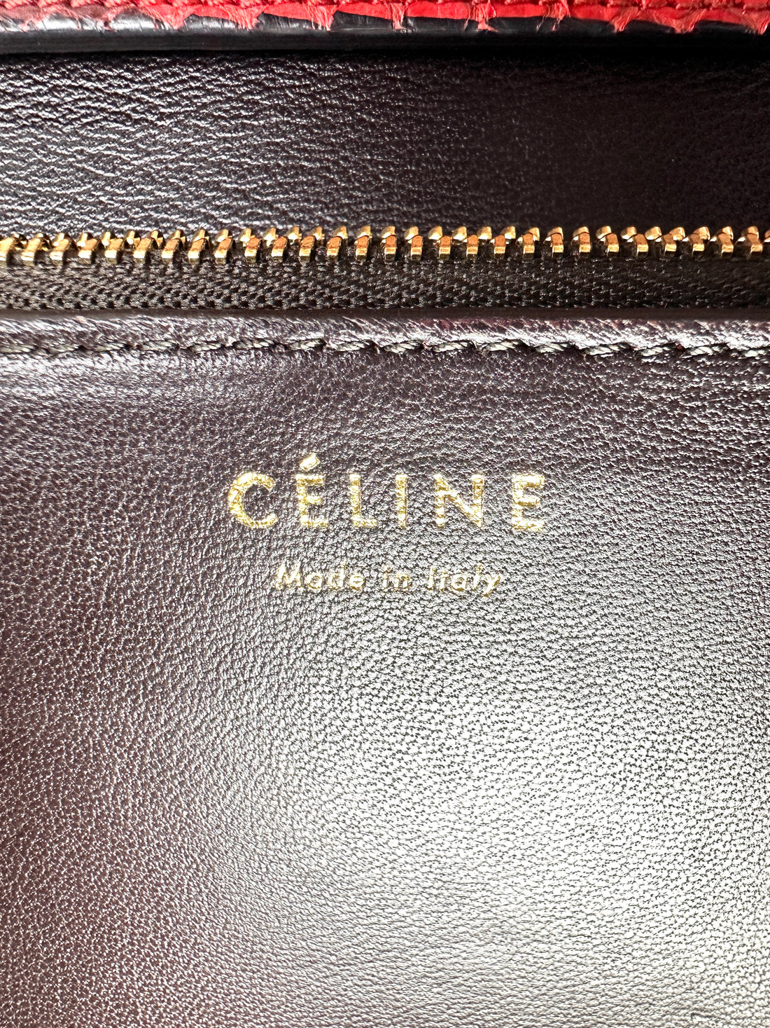 Celine Classic Box Red Python Leather Medium Size Flap Bag CE176