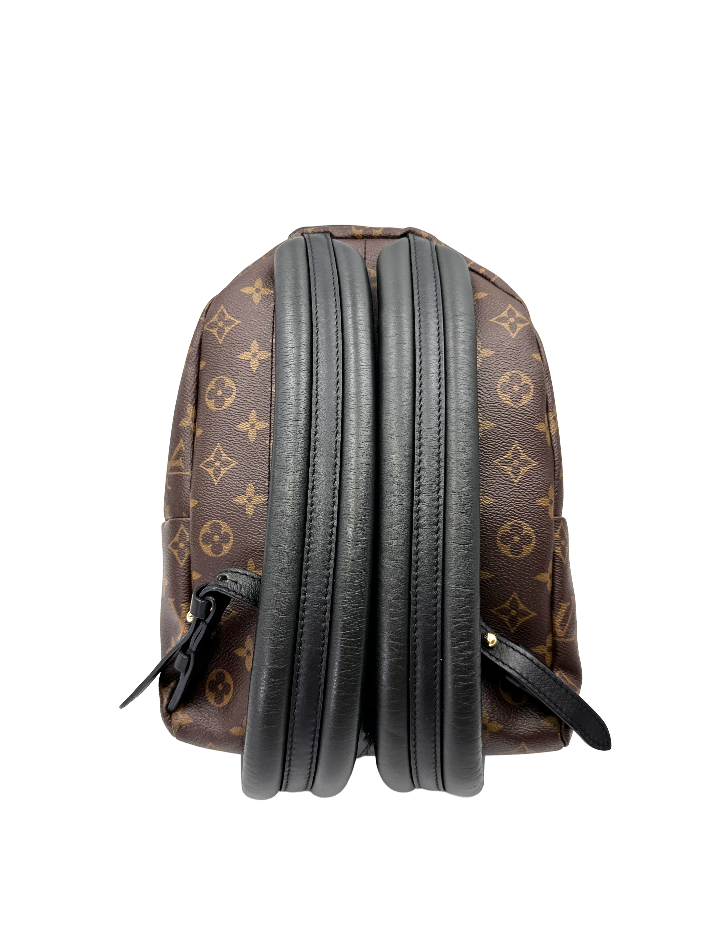 Louis Vuitton Palm Springs Monogram Canvas Backpack LV3078