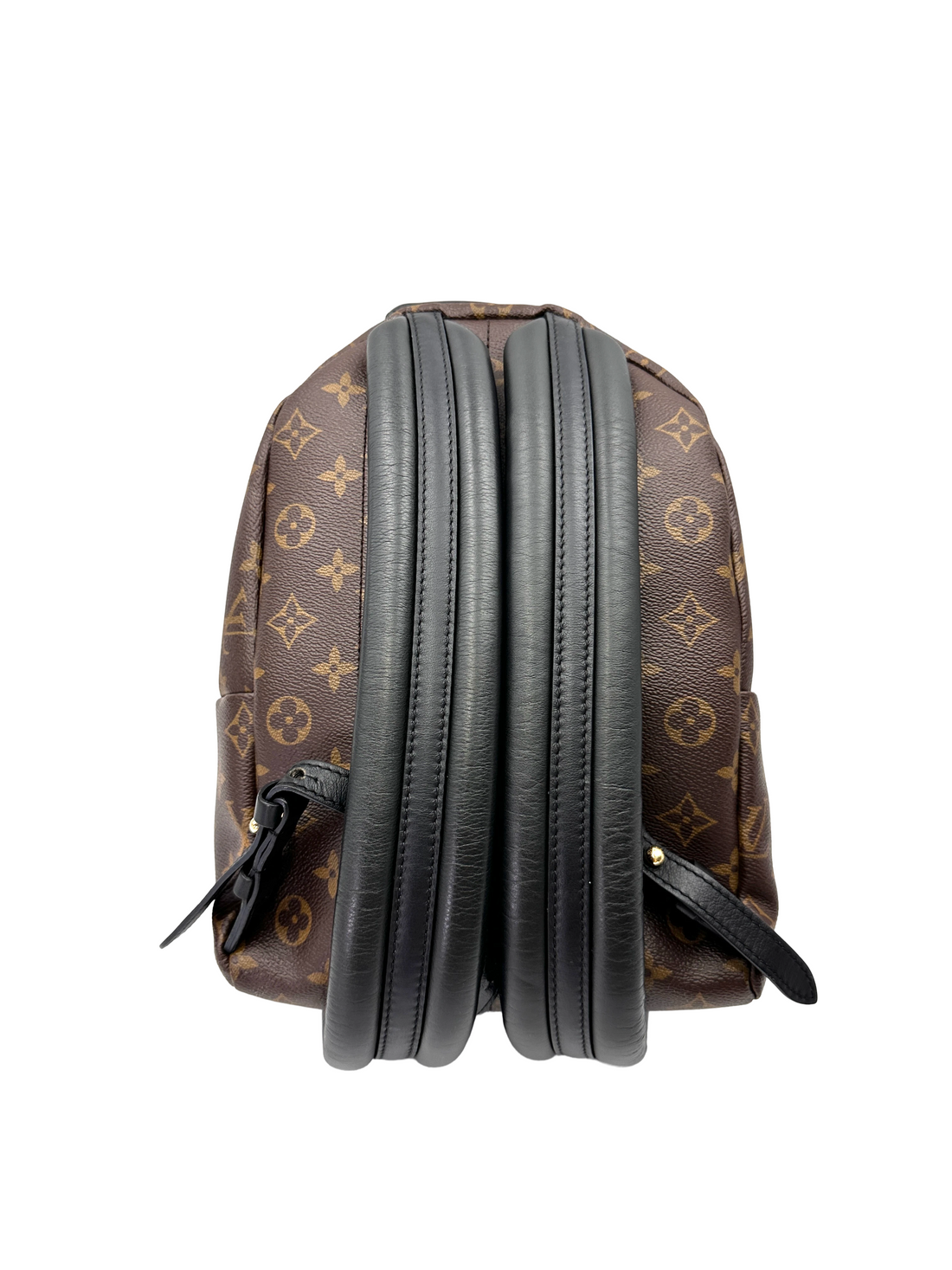 Louis Vuitton Palm Springs Monogram Canvas Backpack LV3078