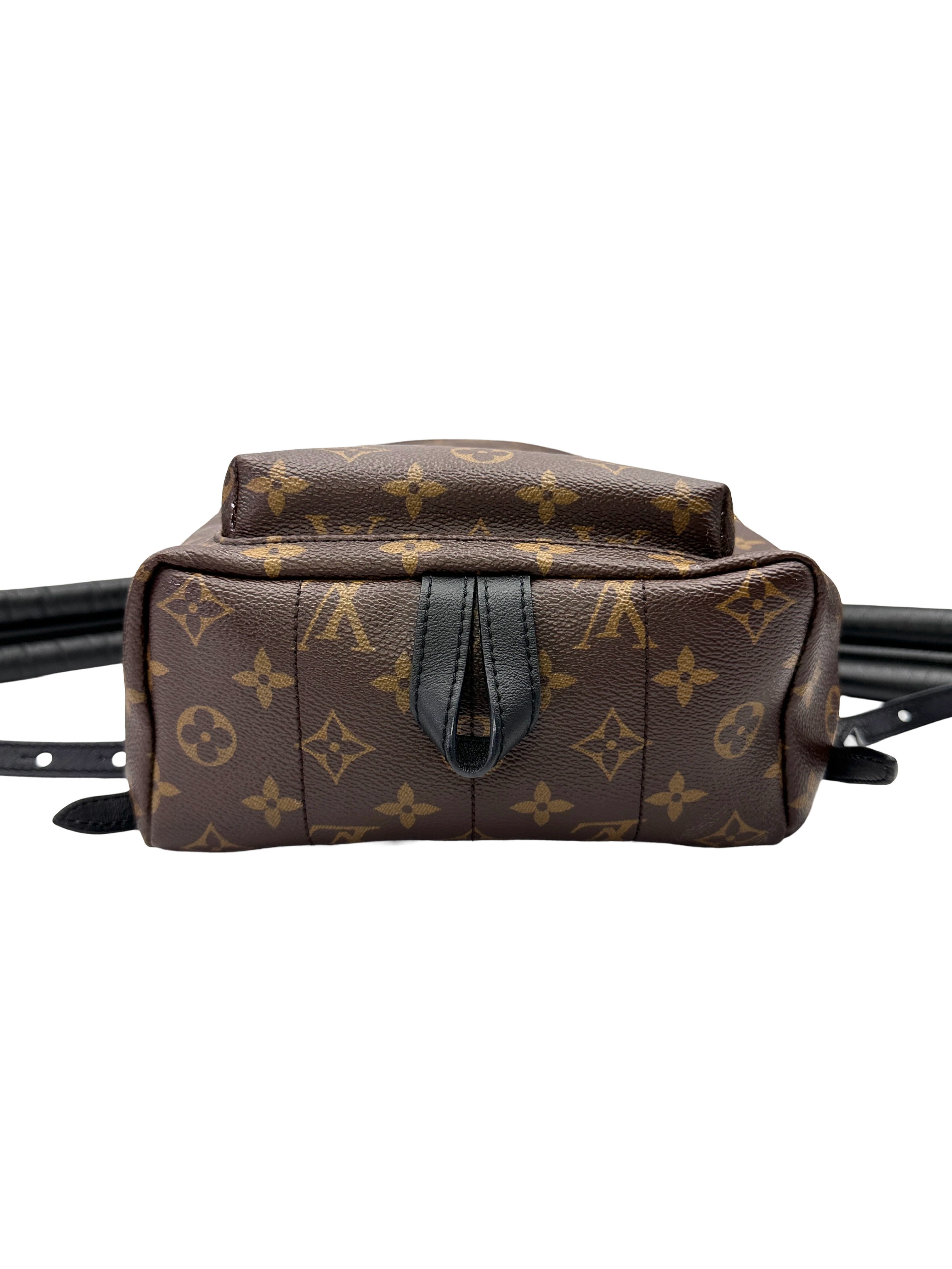 Louis Vuitton Palm Springs Monogram Canvas Backpack LV3078