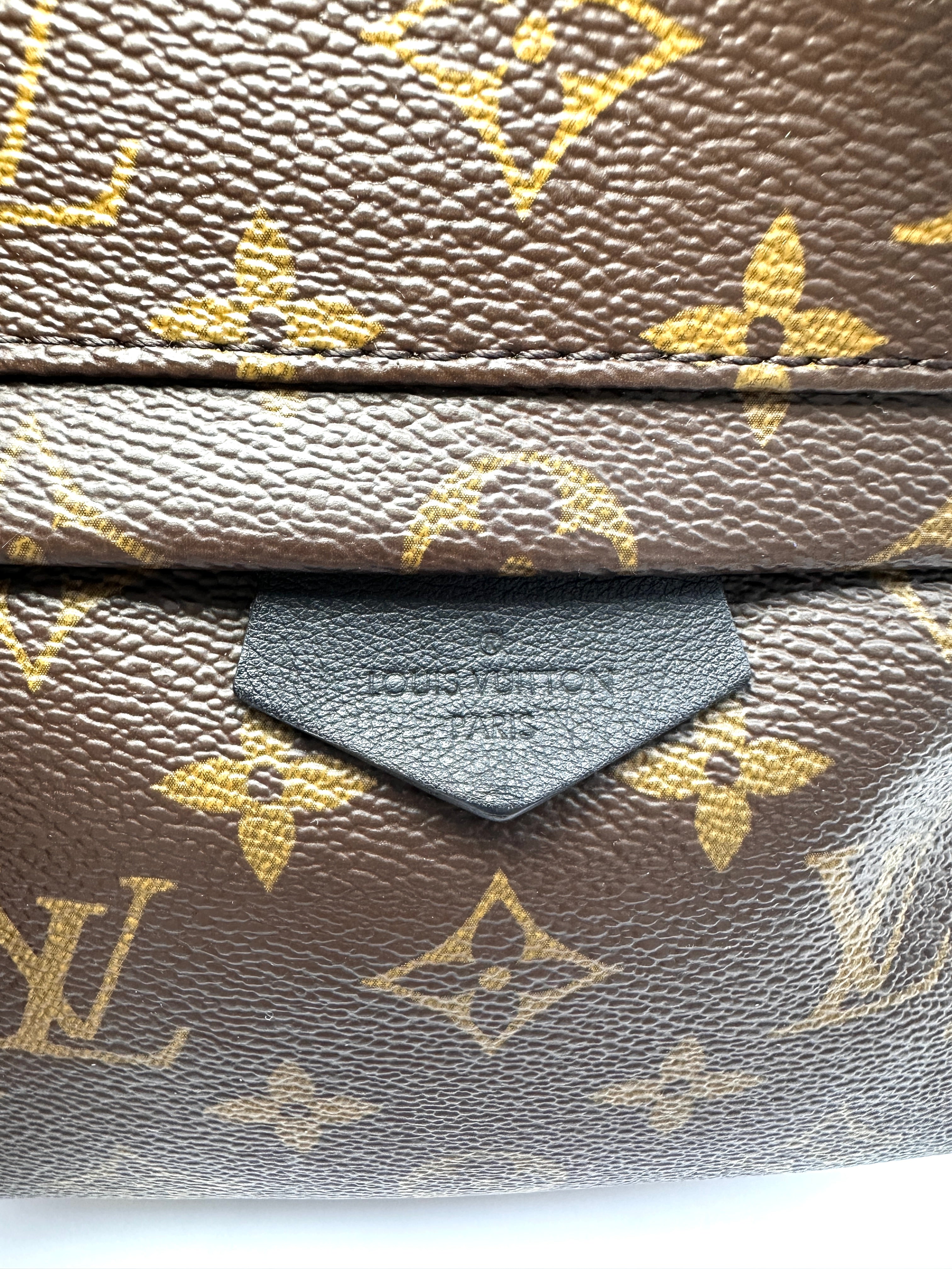 Louis Vuitton Palm Springs Monogram Canvas Backpack LV3078
