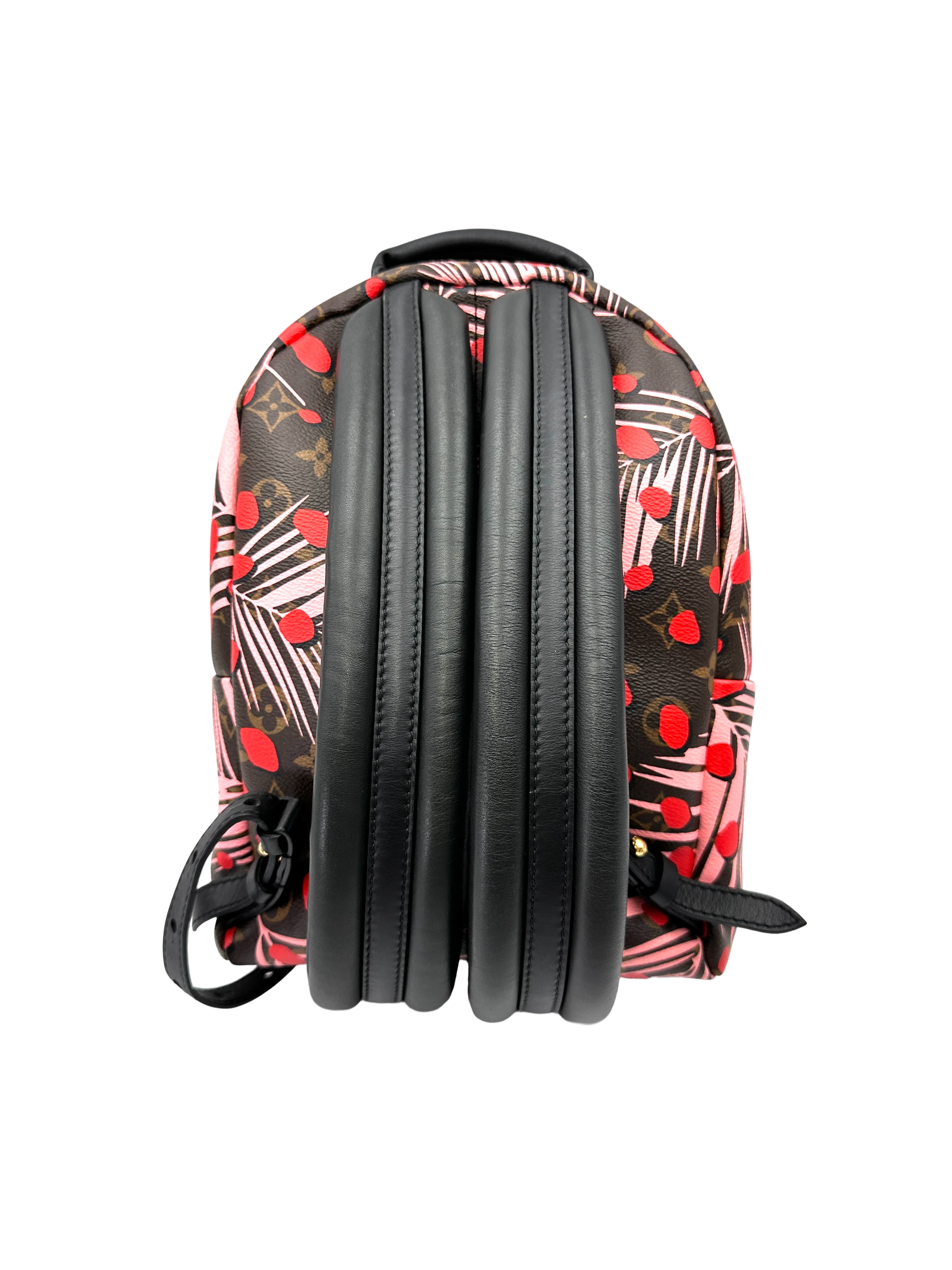Louis Vuitton Palm Springs Jungle Dots Monogram Canvas Small Size Backpack LV3075