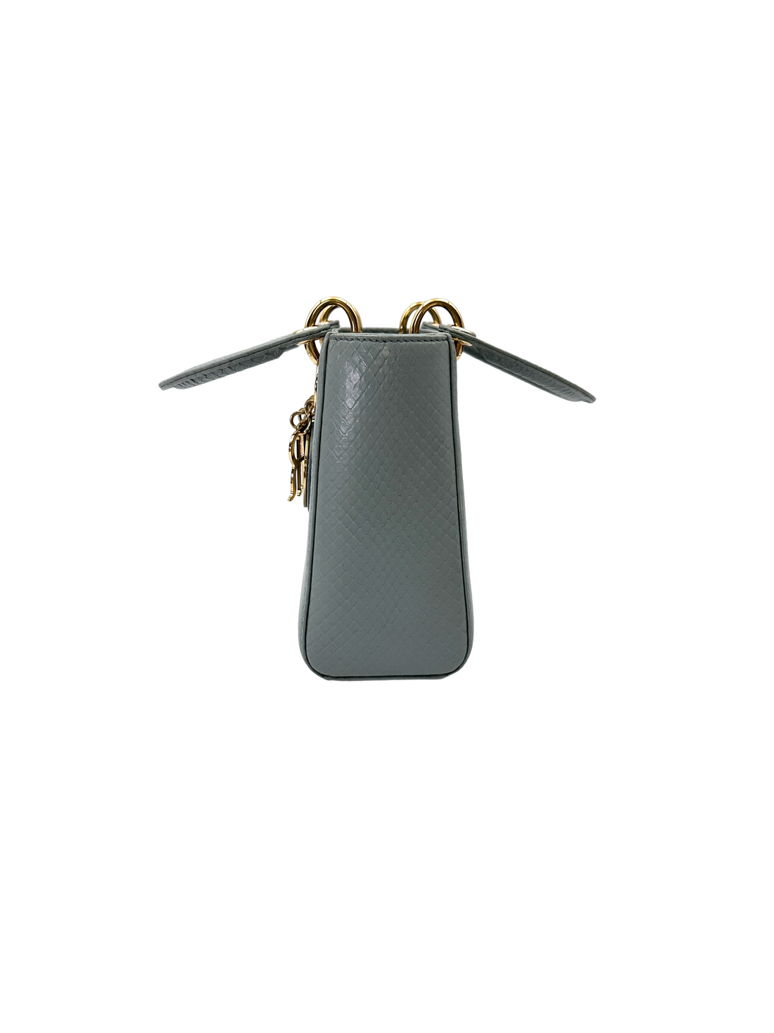 Christian Dior Lady Dior Light Blue Lizard Leather Small Size Handle Bag DR818