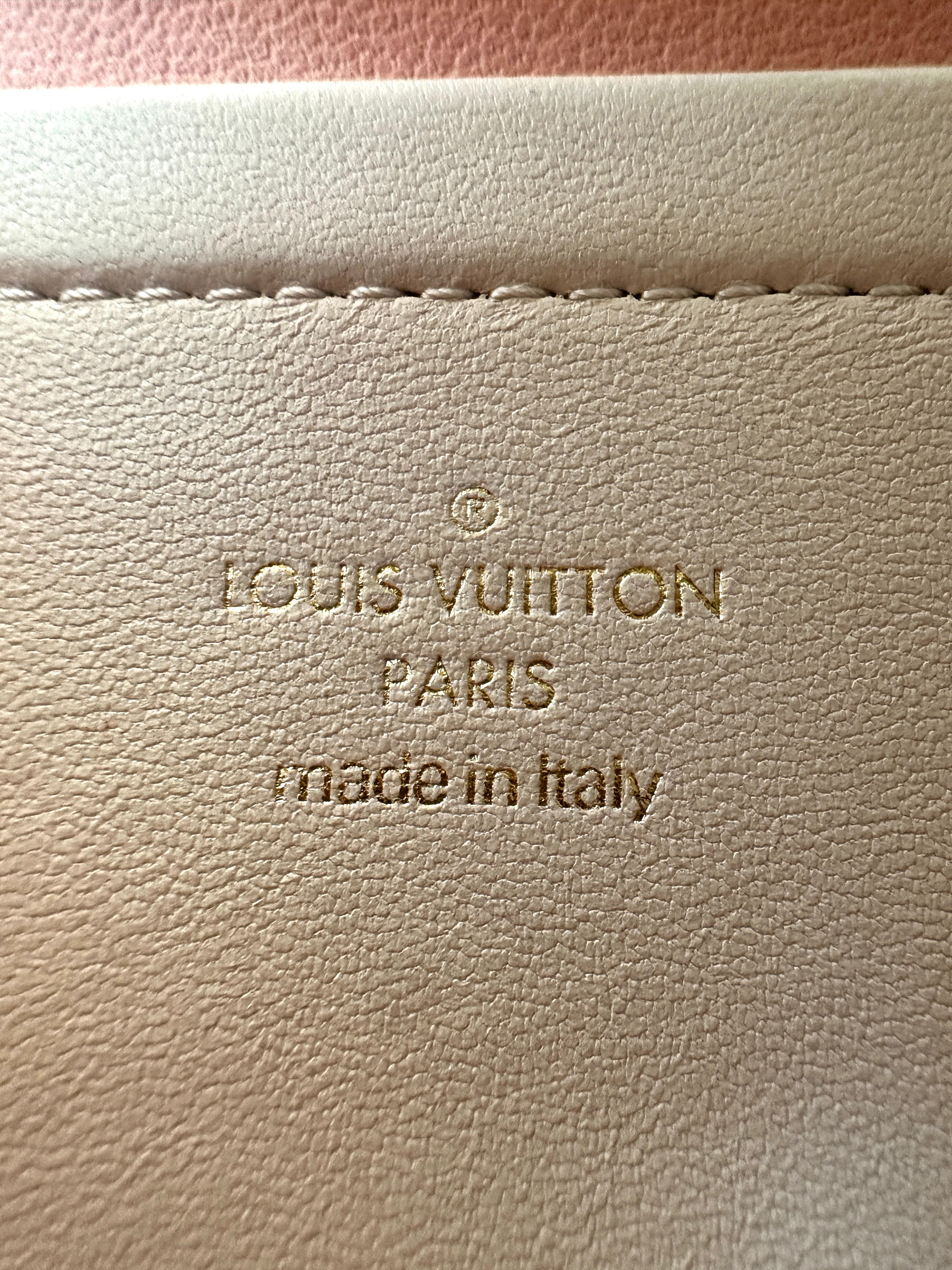 Louis Vuitton Pochette Coussin Pastel Monogram Embossed Puffy Leather Shoulder Bag LV3086