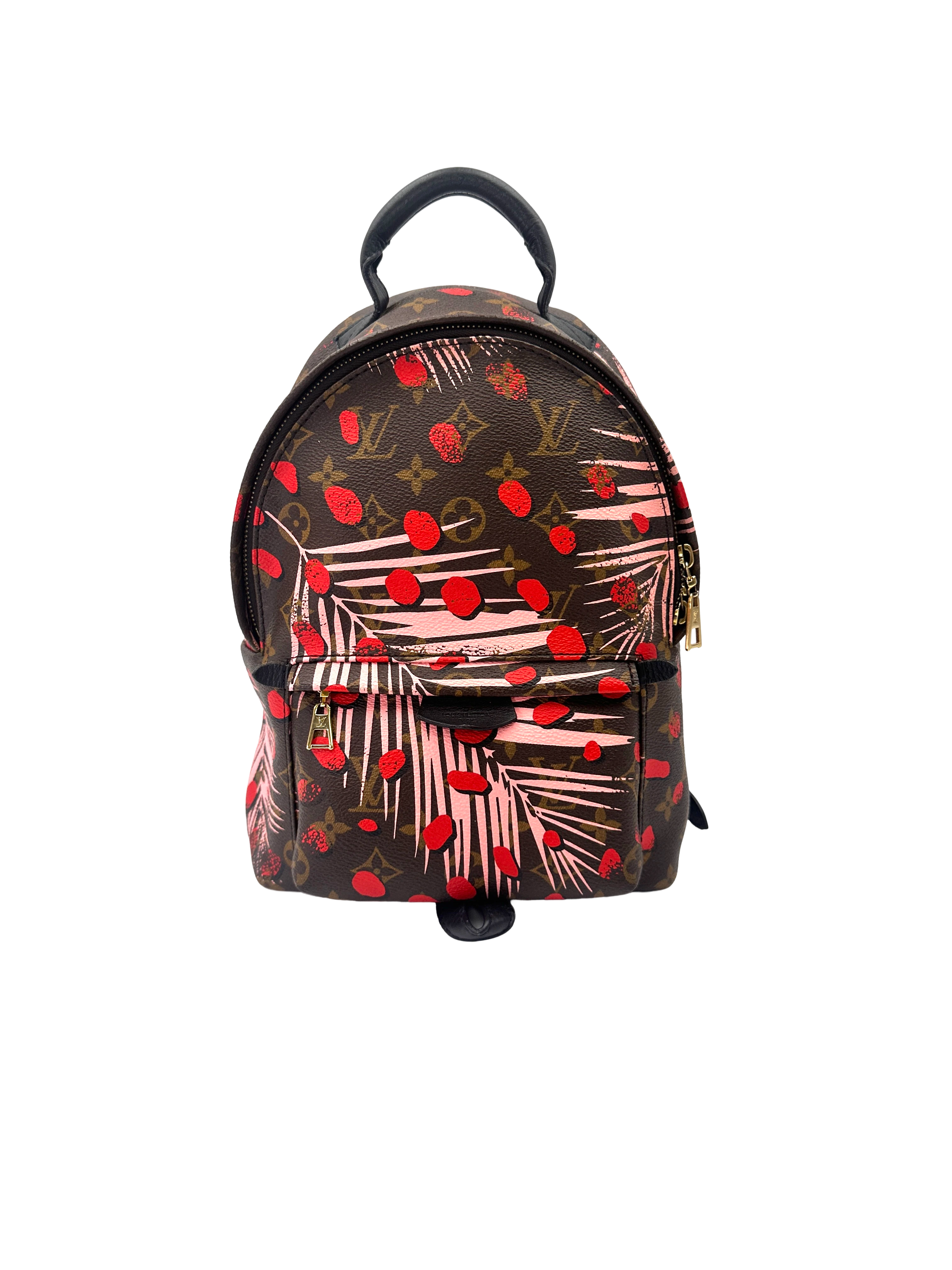 Louis Vuitton Palm Springs Jungle Dots Monogram Canvas Small Size Backpack LV3104