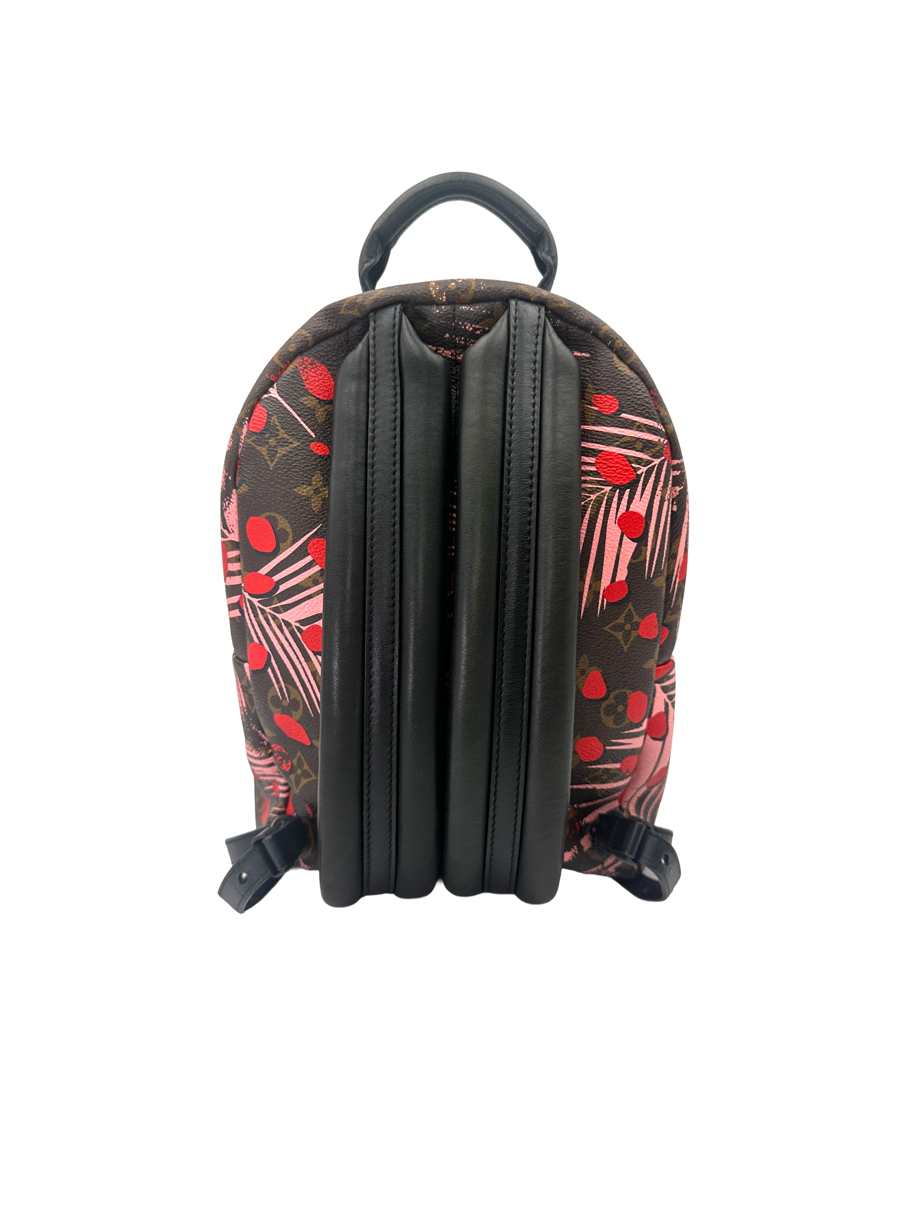 Louis Vuitton Palm Springs Jungle Dots Monogram Canvas Small Size Backpack LV3104