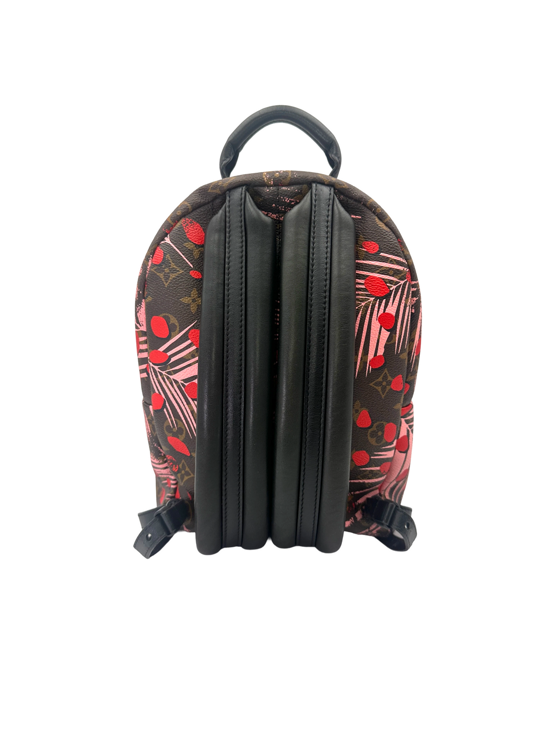 Louis Vuitton Palm Springs Jungle Dots Monogram Canvas Small Size Backpack LV3104