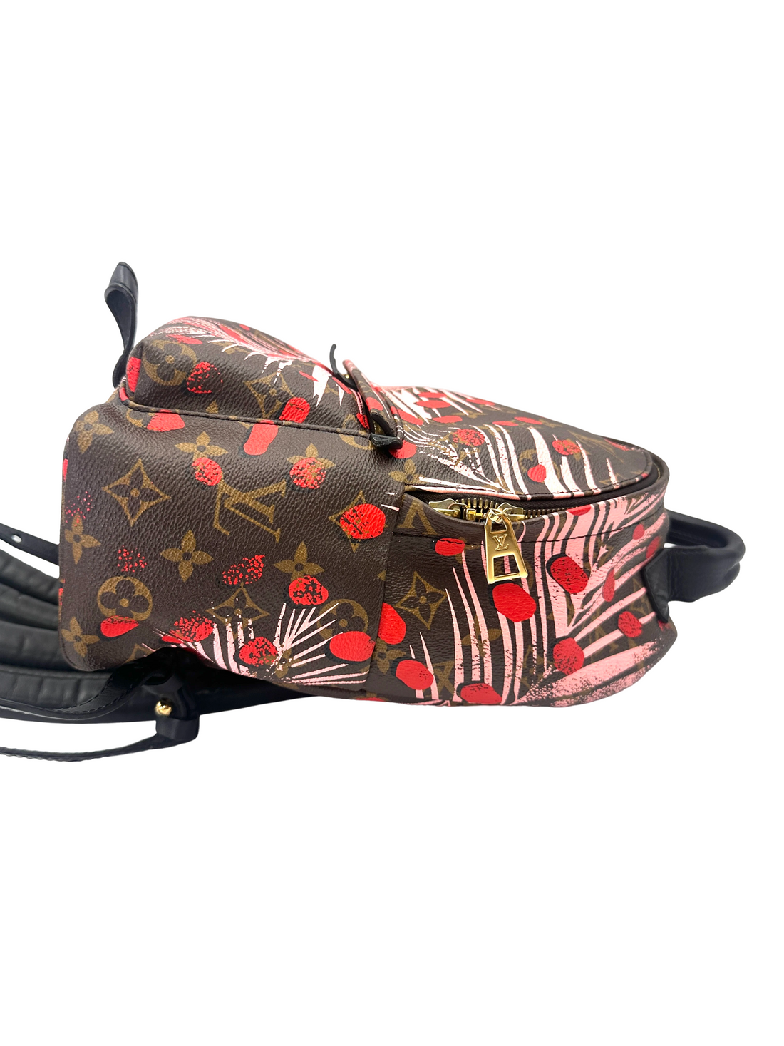Louis Vuitton Palm Springs Jungle Dots Monogram Canvas Small Size Backpack LV3104