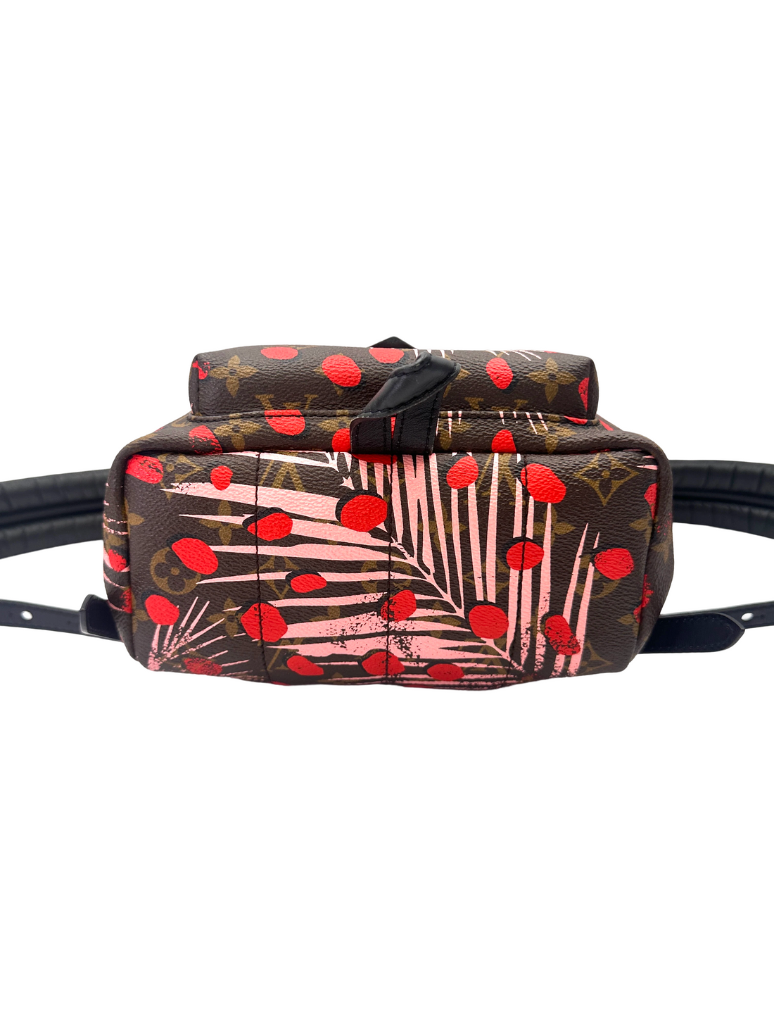Louis Vuitton Palm Springs Jungle Dots Monogram Canvas Small Size Backpack LV3104