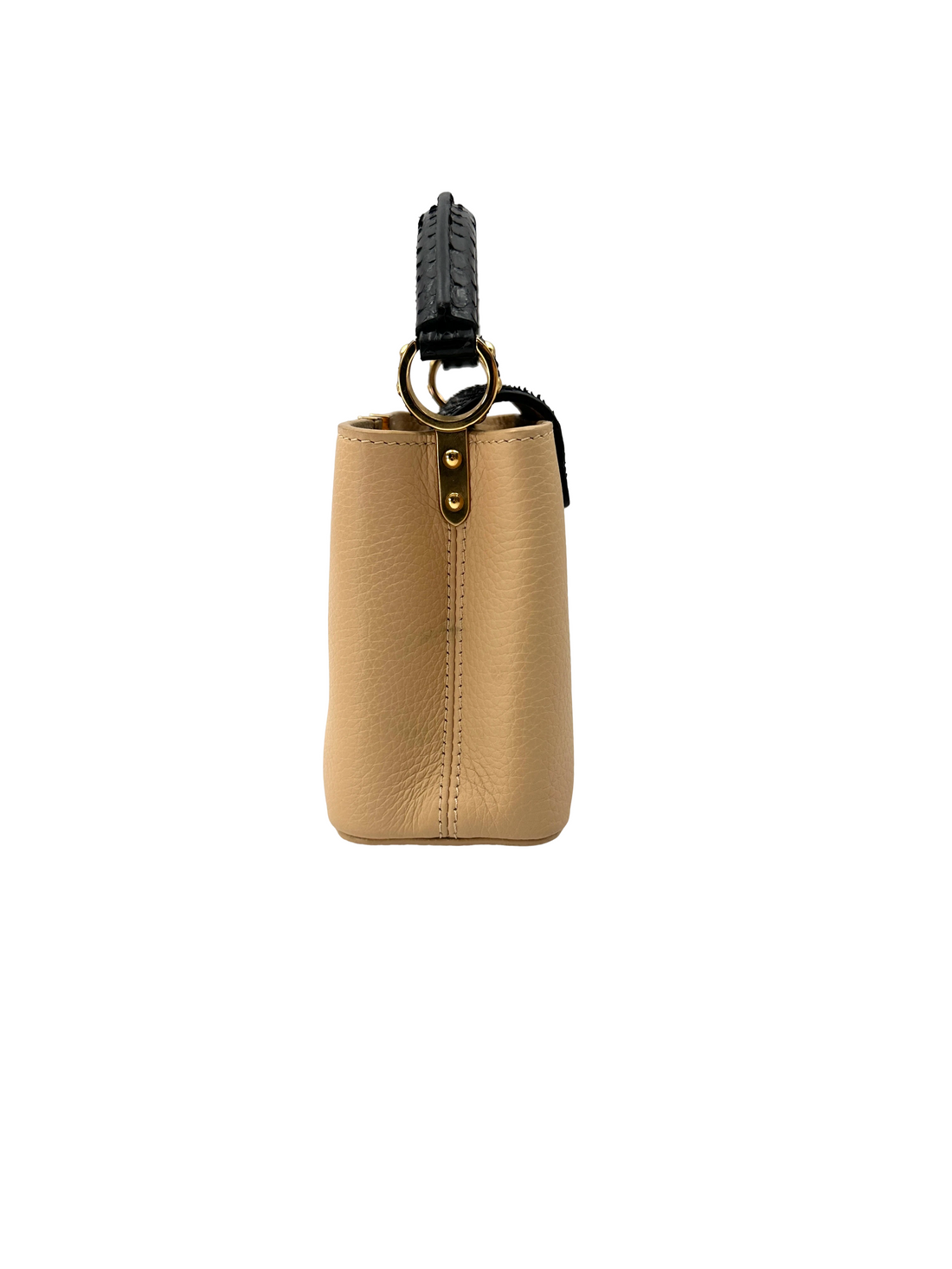 Louis Vuitton Capucines Beige Taurillon Leather Python Mini Handle Bag LV3113