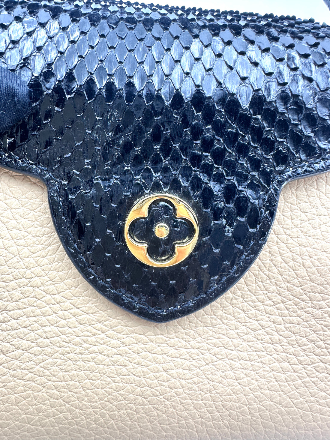 Louis Vuitton Capucines Beige Taurillon Leather Python Mini Handle Bag LV3113