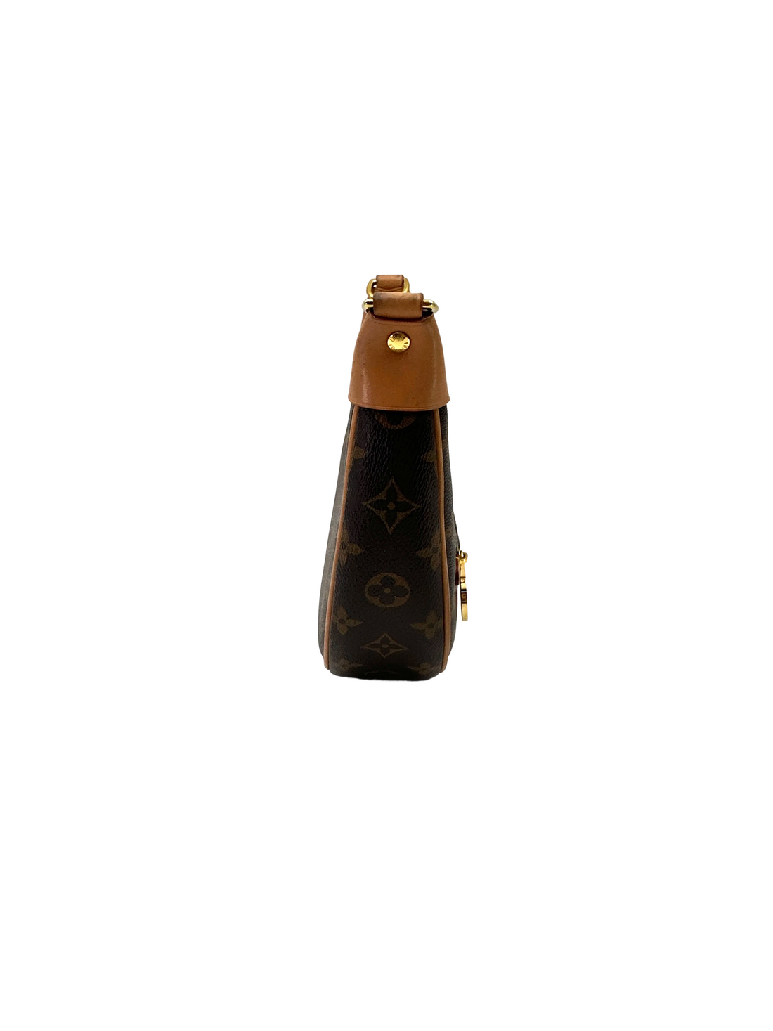 Louis Vuitton Loop Monogram Canvas Shoulder Bag LV3118