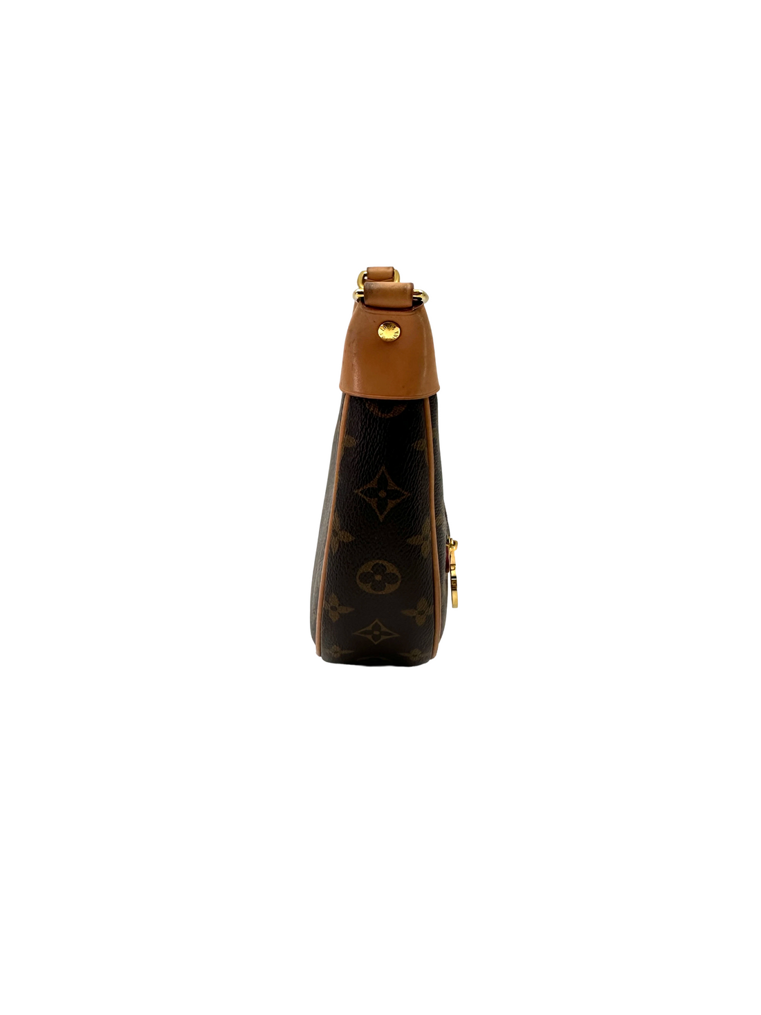 Louis Vuitton Loop Monogram Canvas Shoulder Bag LV3116