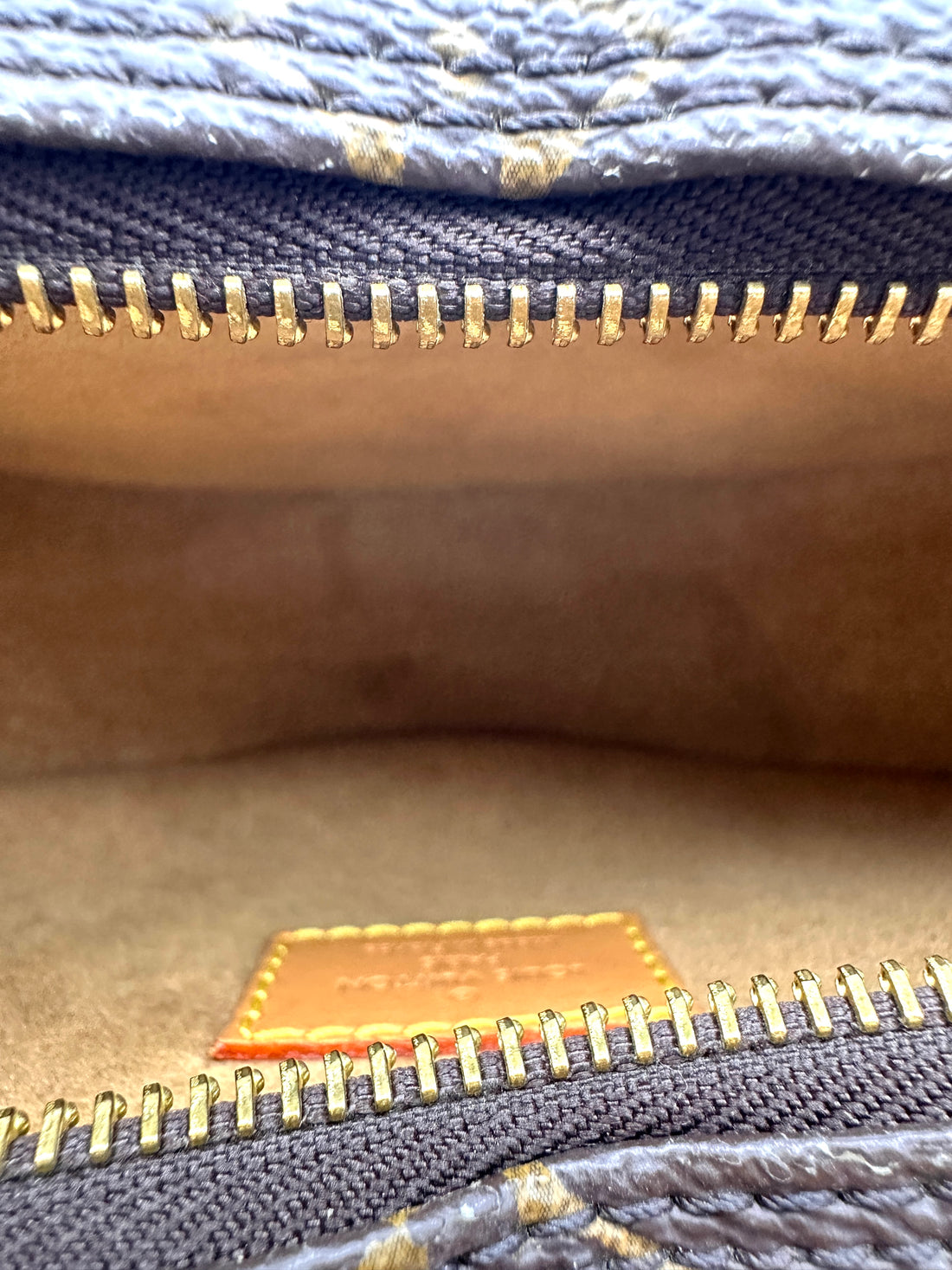 Louis Vuitton Loop Monogram Canvas Shoulder Bag LV3116