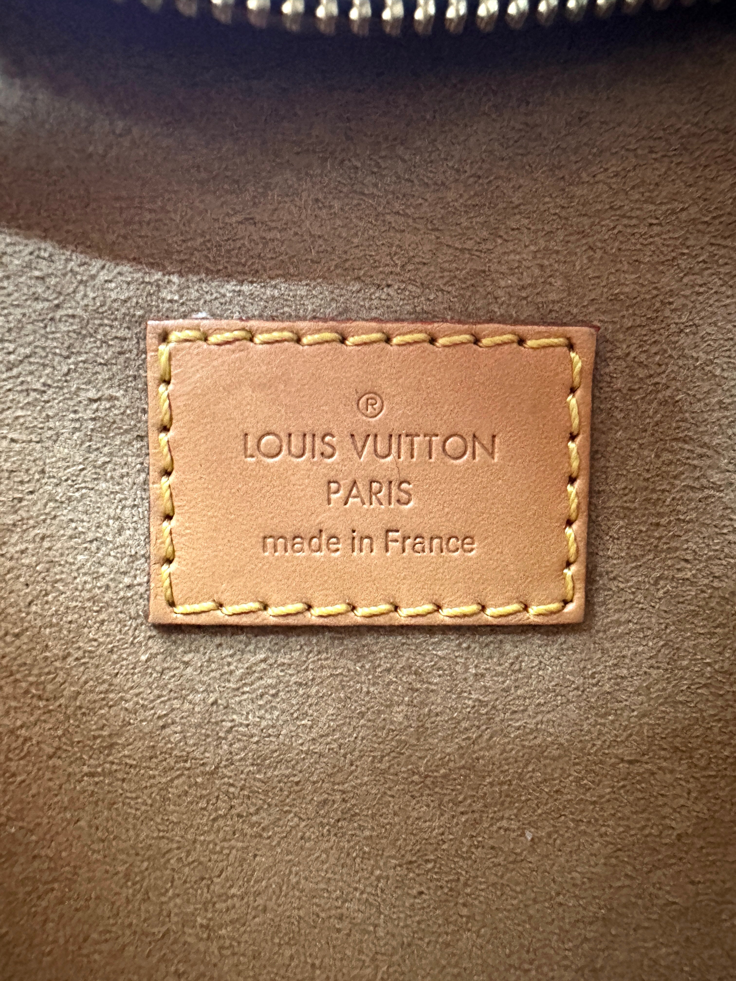 Louis Vuitton Loop Monogram Canvas Shoulder Bag LV3116