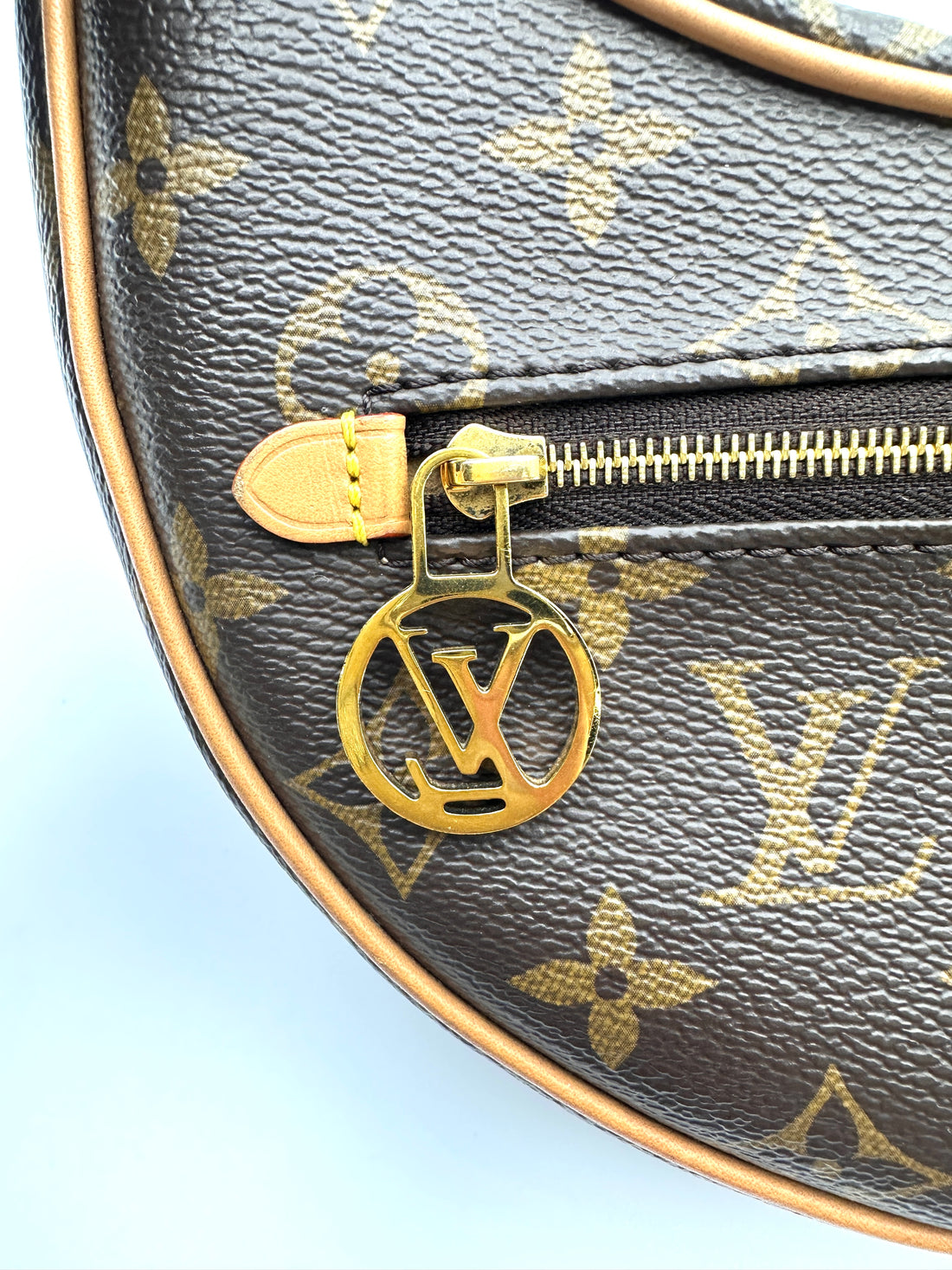 Louis Vuitton Loop Monogram Canvas Shoulder Bag LV3117