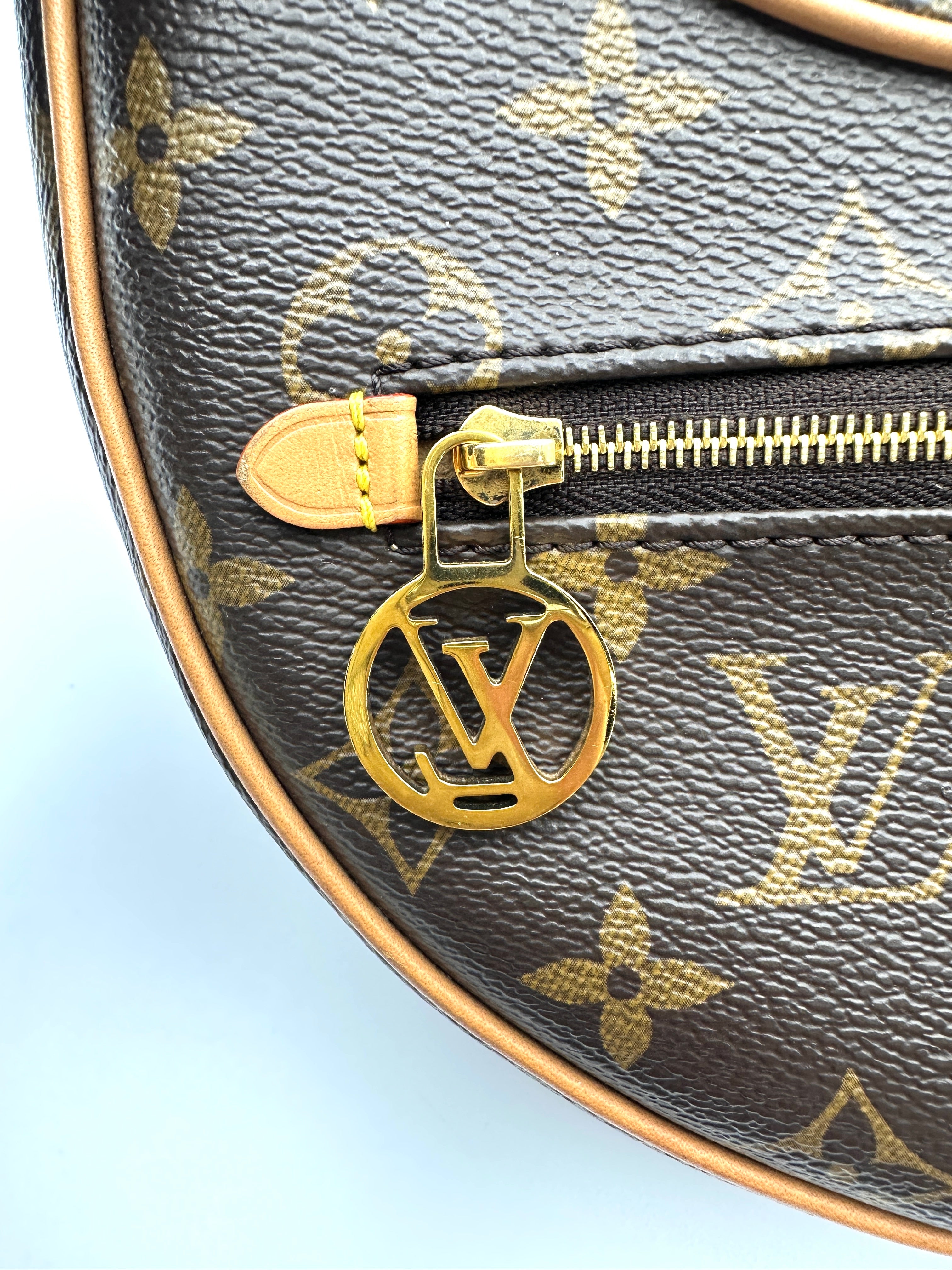 Louis Vuitton Loop Monogram Canvas Shoulder Bag LV3116