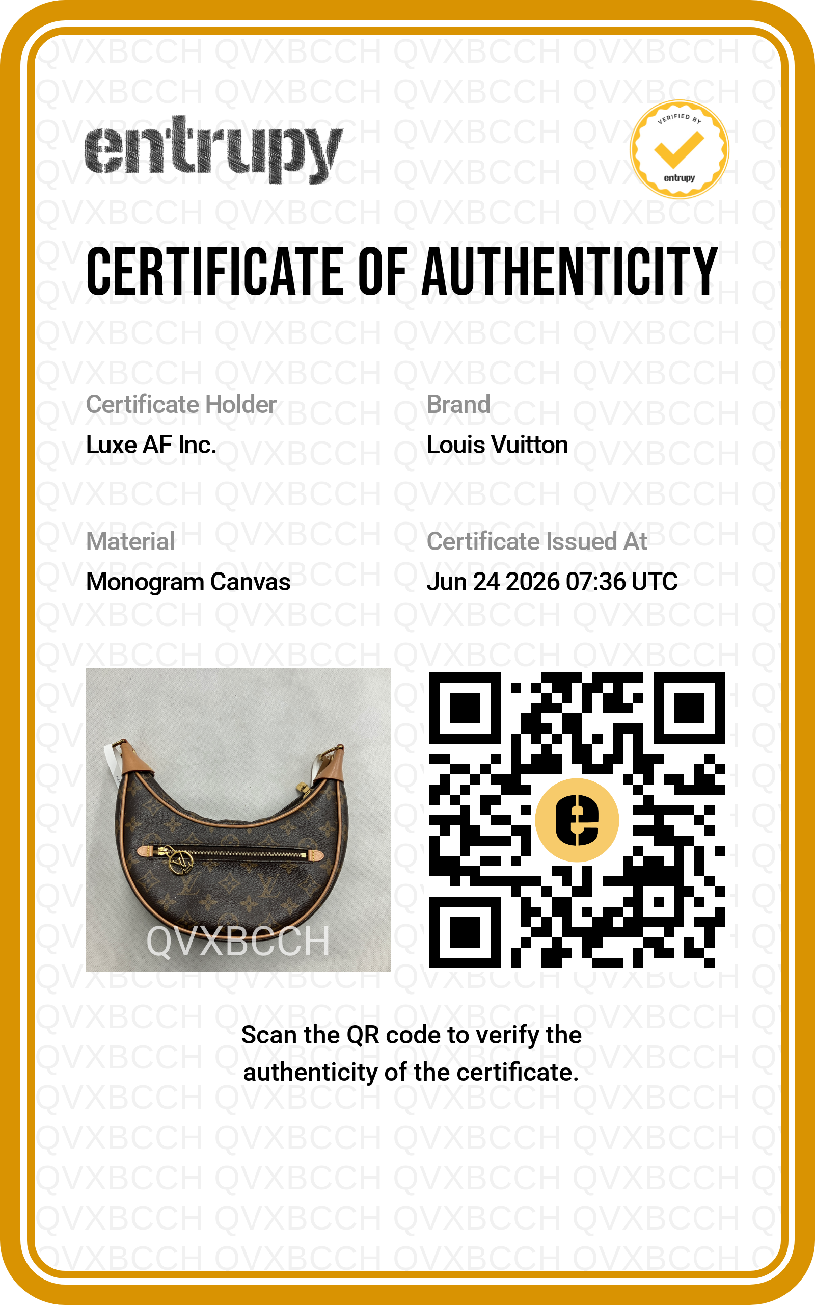 Louis Vuitton Loop Monogram Canvas Shoulder Bag LV3118