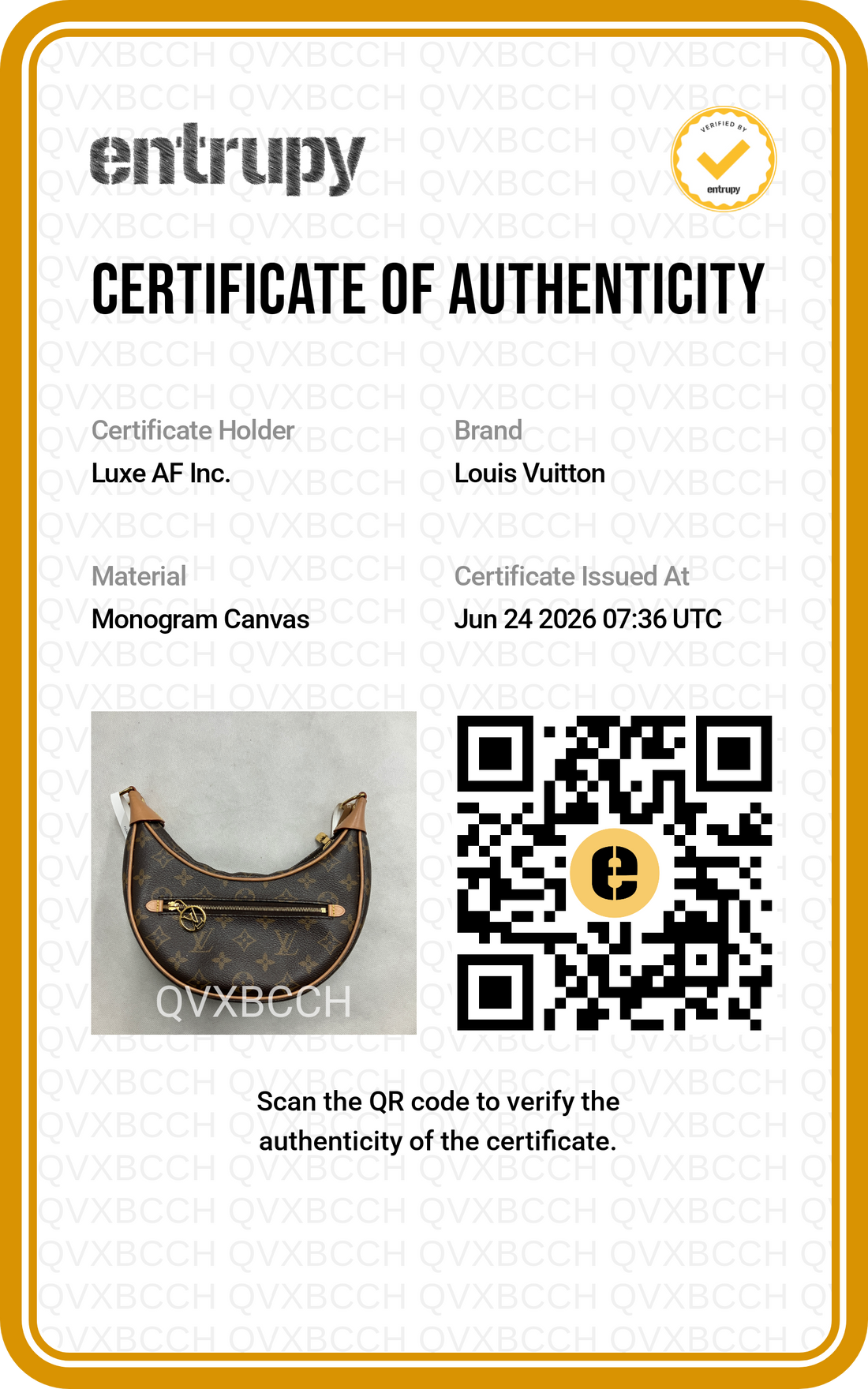 Louis Vuitton Loop Monogram Canvas Shoulder Bag LV3118