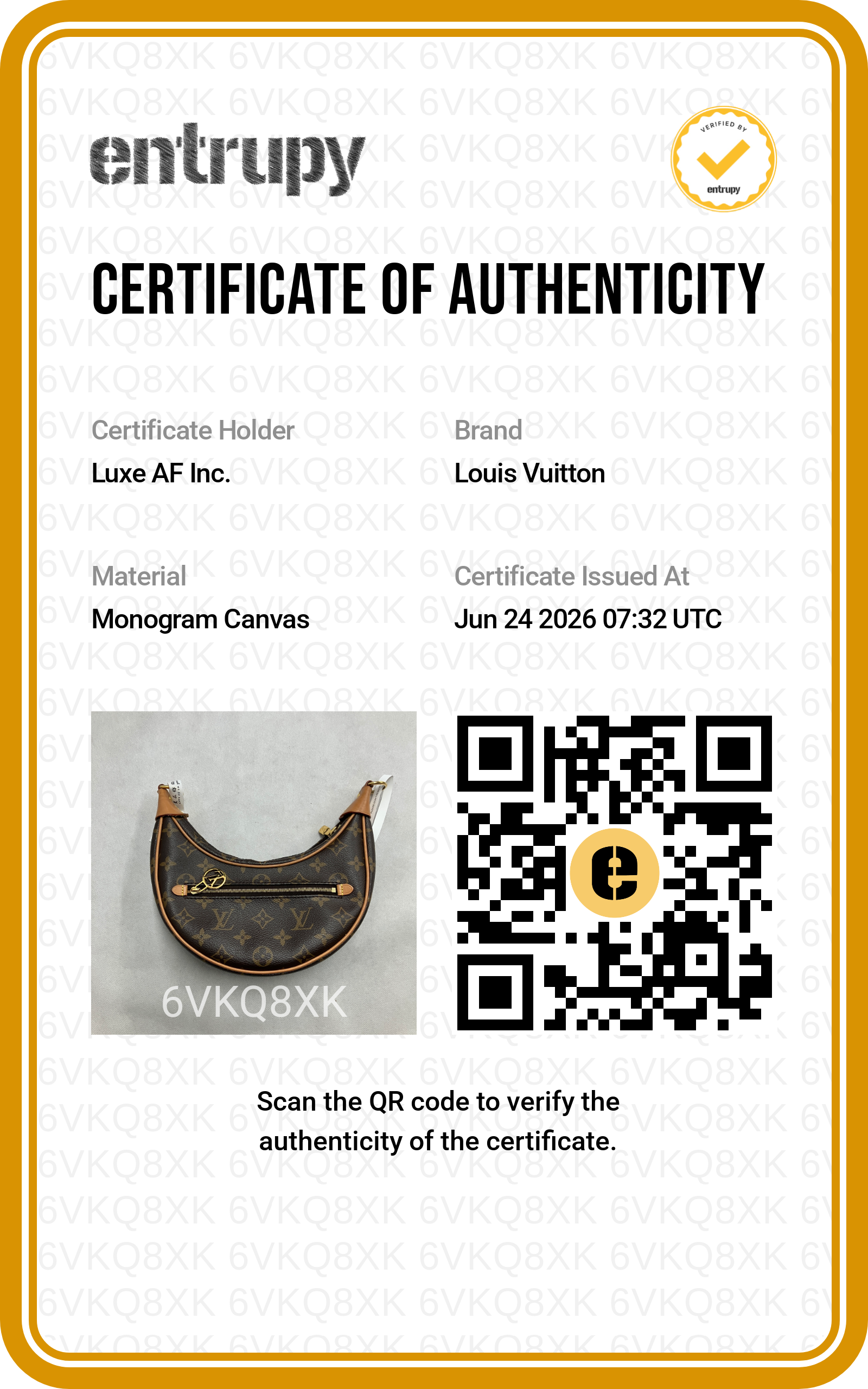 Louis Vuitton Loop Monogram Canvas Shoulder Bag LV3117