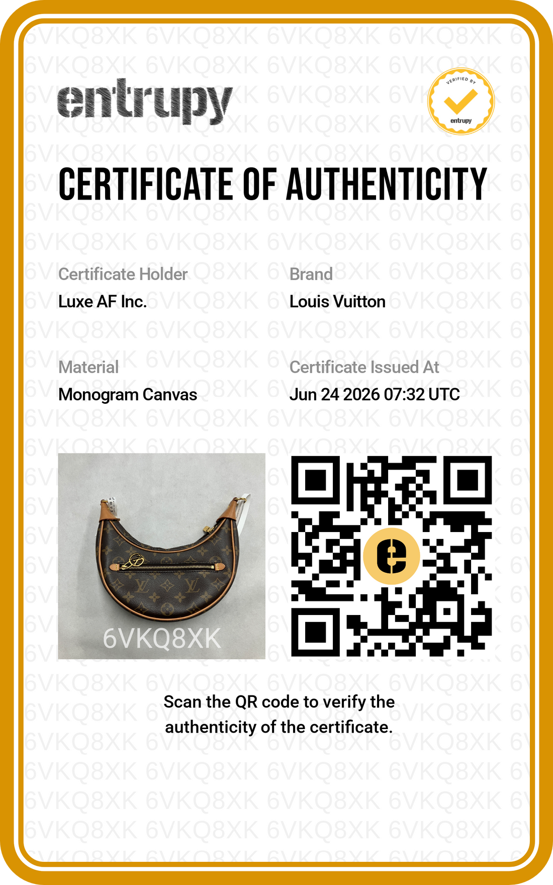 Louis Vuitton Loop Monogram Canvas Shoulder Bag LV3117