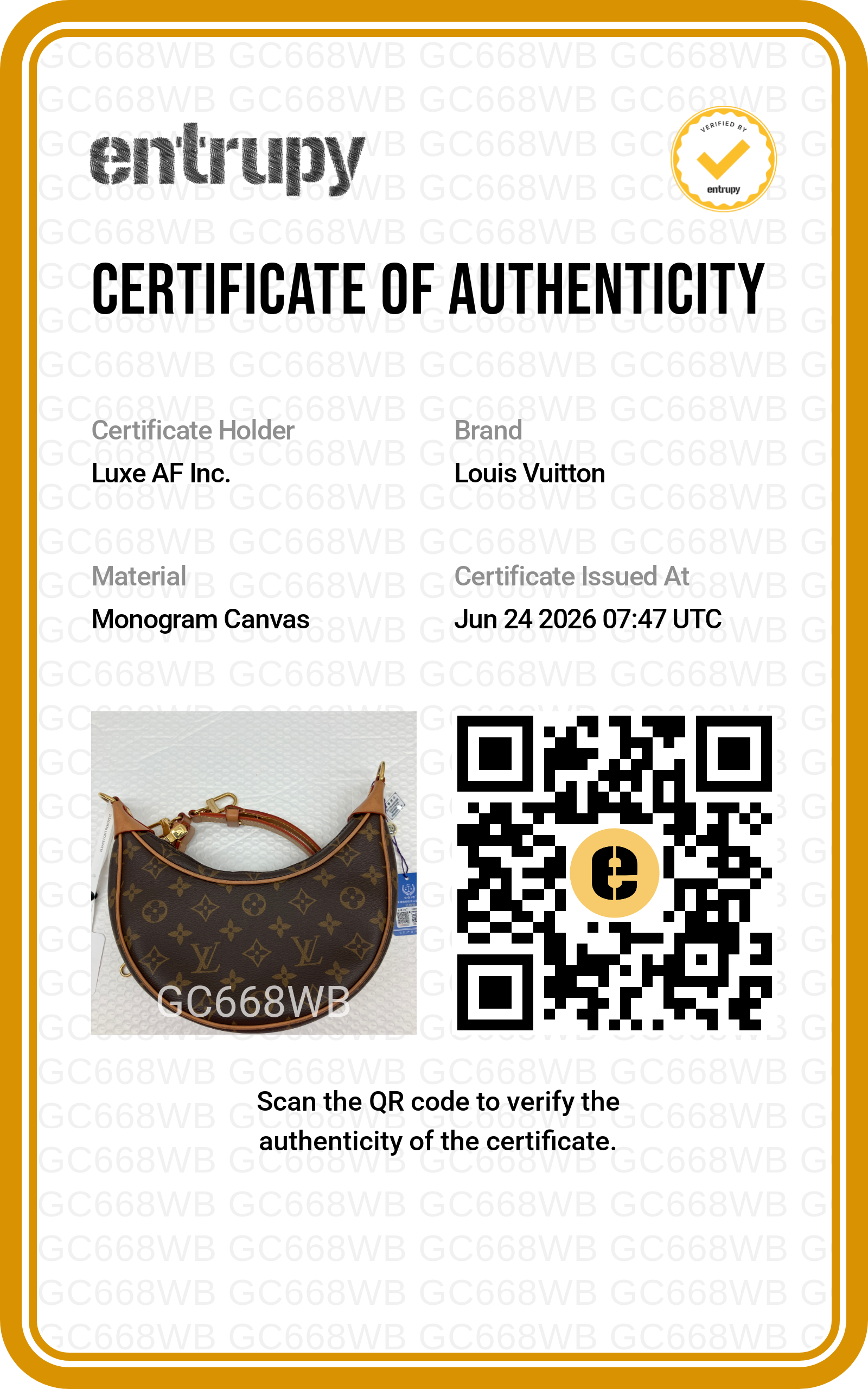 Louis Vuitton Loop Monogram Canvas Shoulder Bag LV3116