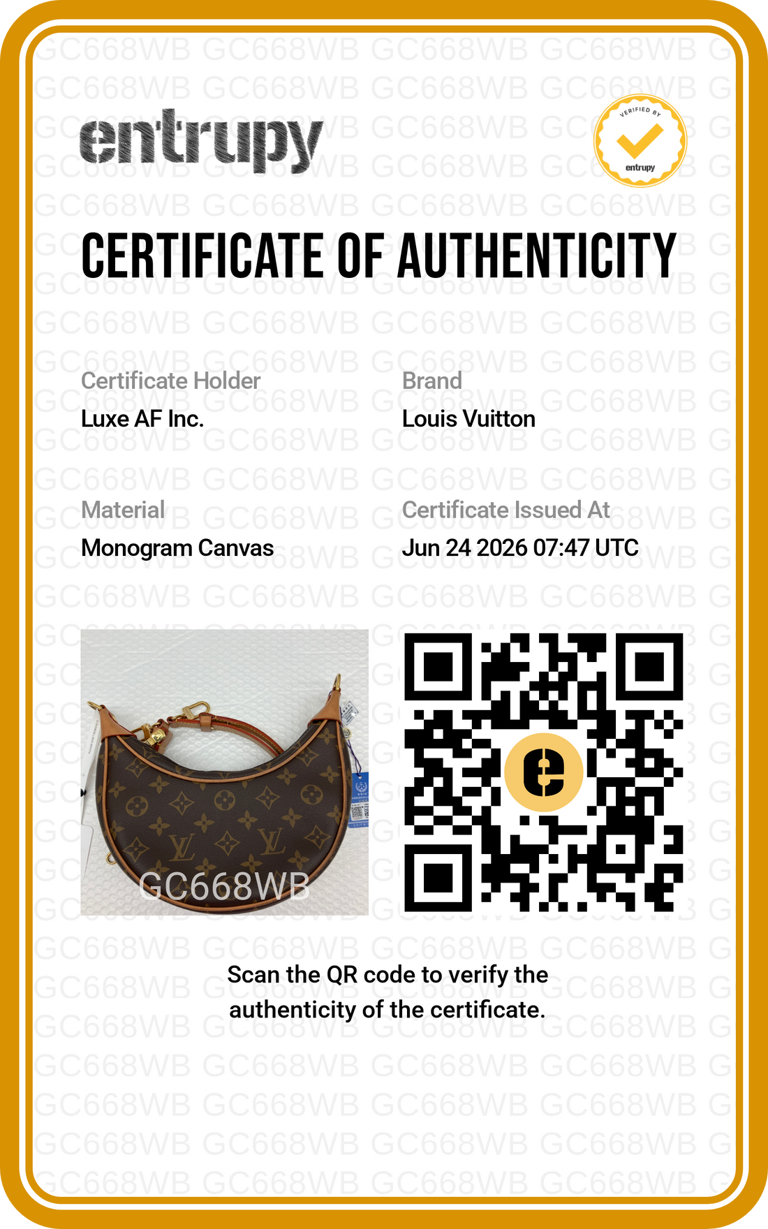 Louis Vuitton Loop Monogram Canvas Shoulder Bag LV3116