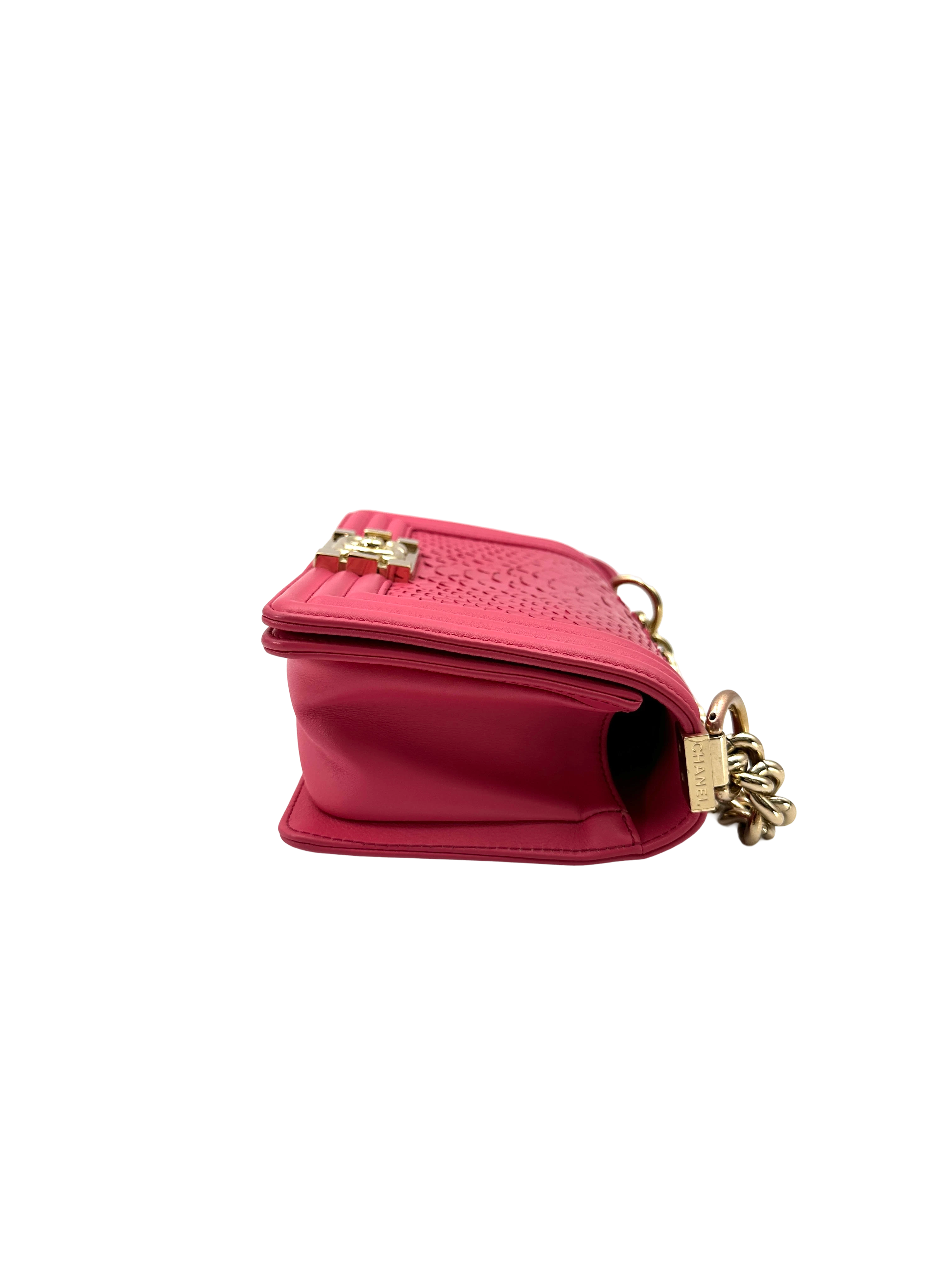Chanel LeBoy Pink Python Leather Small Size Flap Bag With Gold Buckle(25***76) CC2289