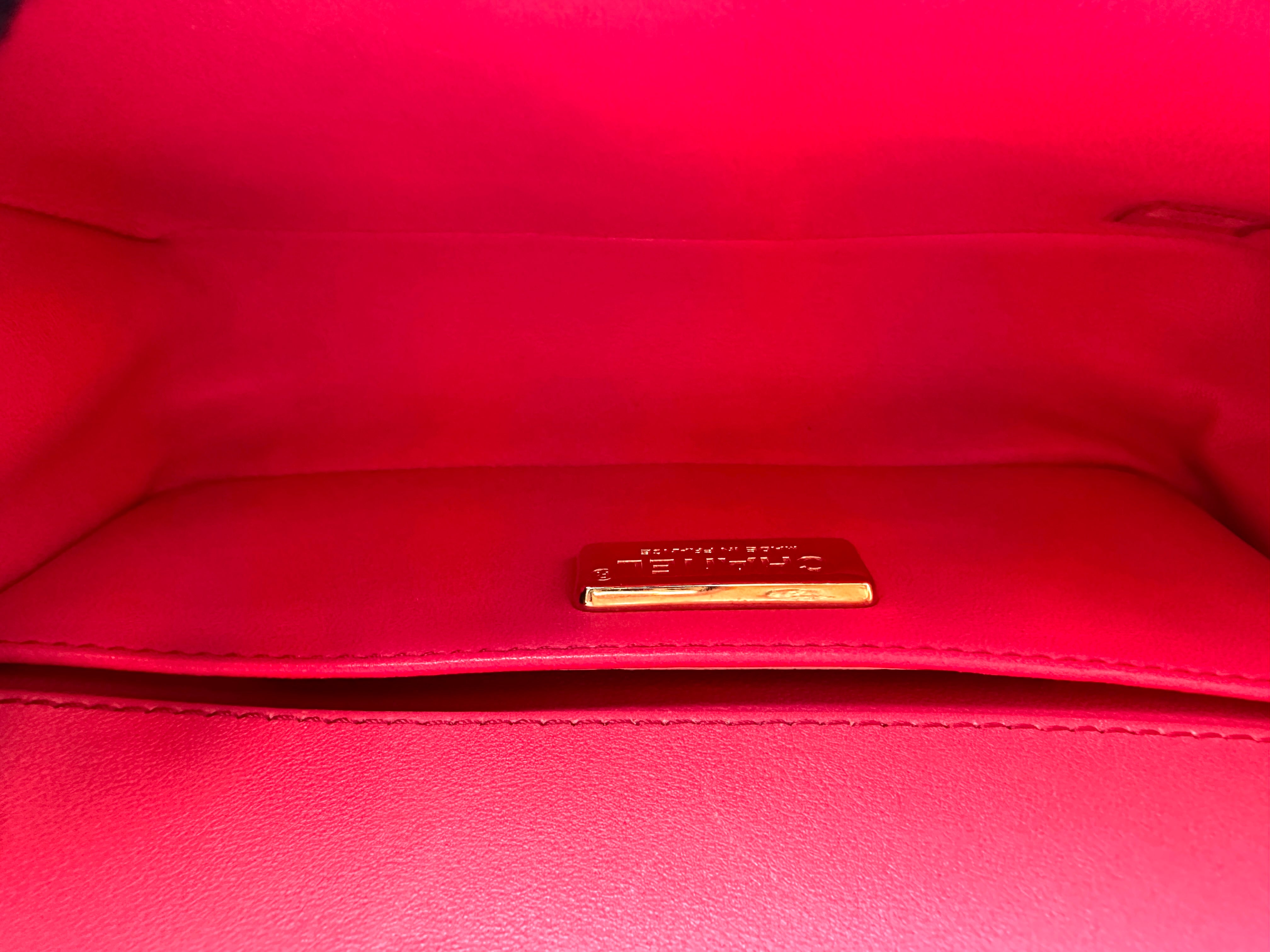 Chanel LeBoy Pink Python Leather Small Size Flap Bag With Gold Buckle(25***76) CC2289