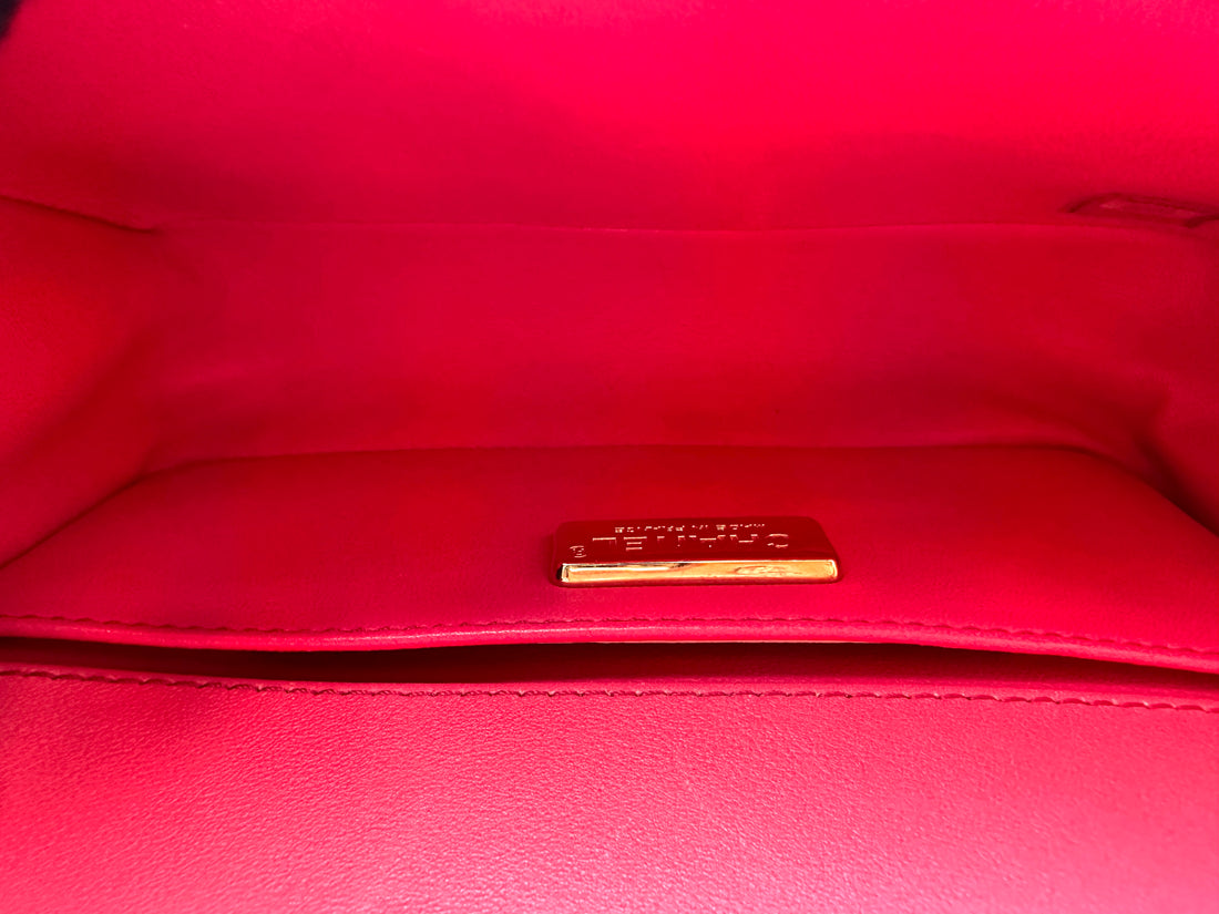 Chanel LeBoy Pink Python Leather Small Size Flap Bag With Gold Buckle(25***76) CC2289