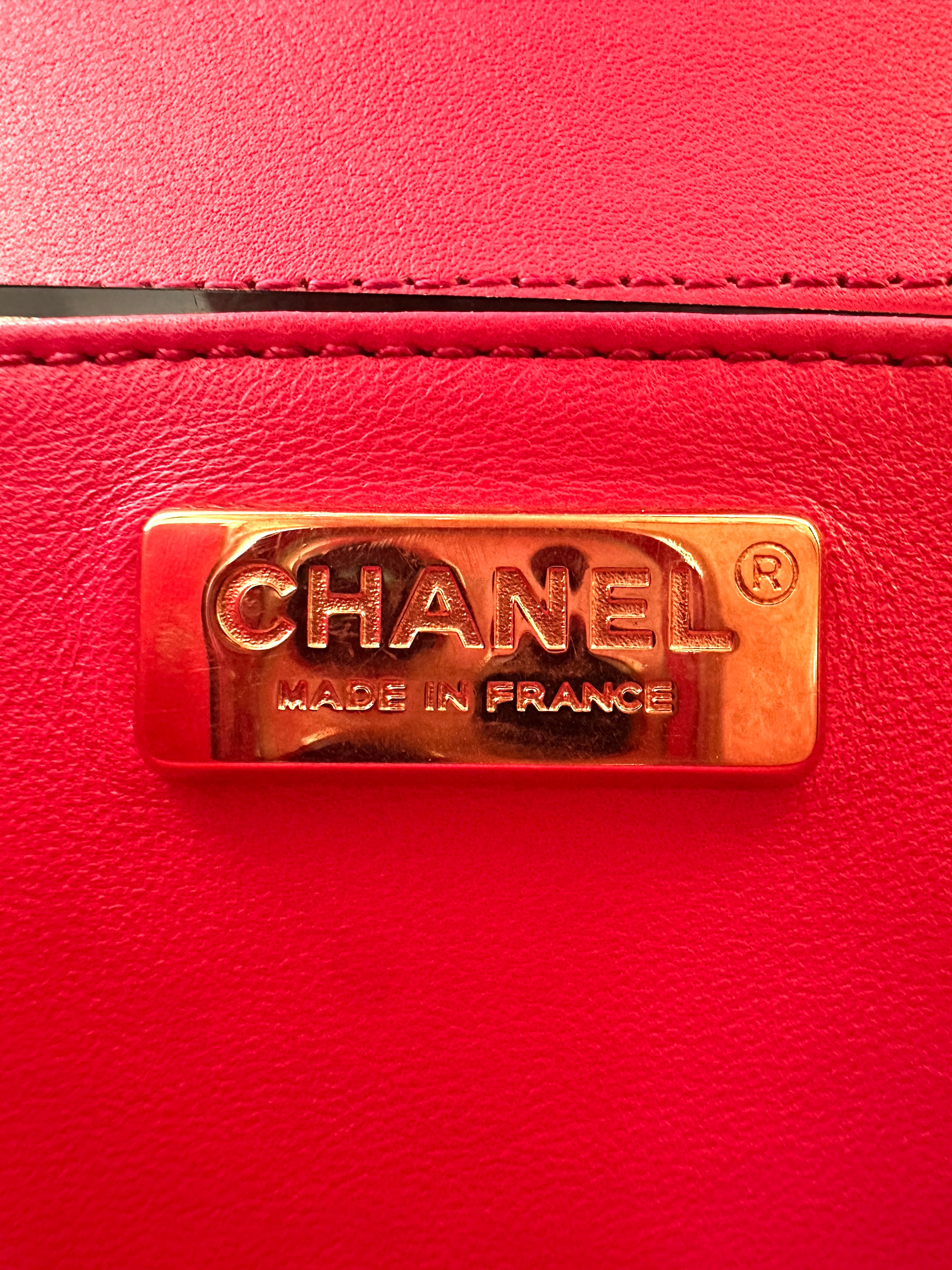 Chanel LeBoy Pink Python Leather Small Size Flap Bag With Gold Buckle(25***76) CC2289