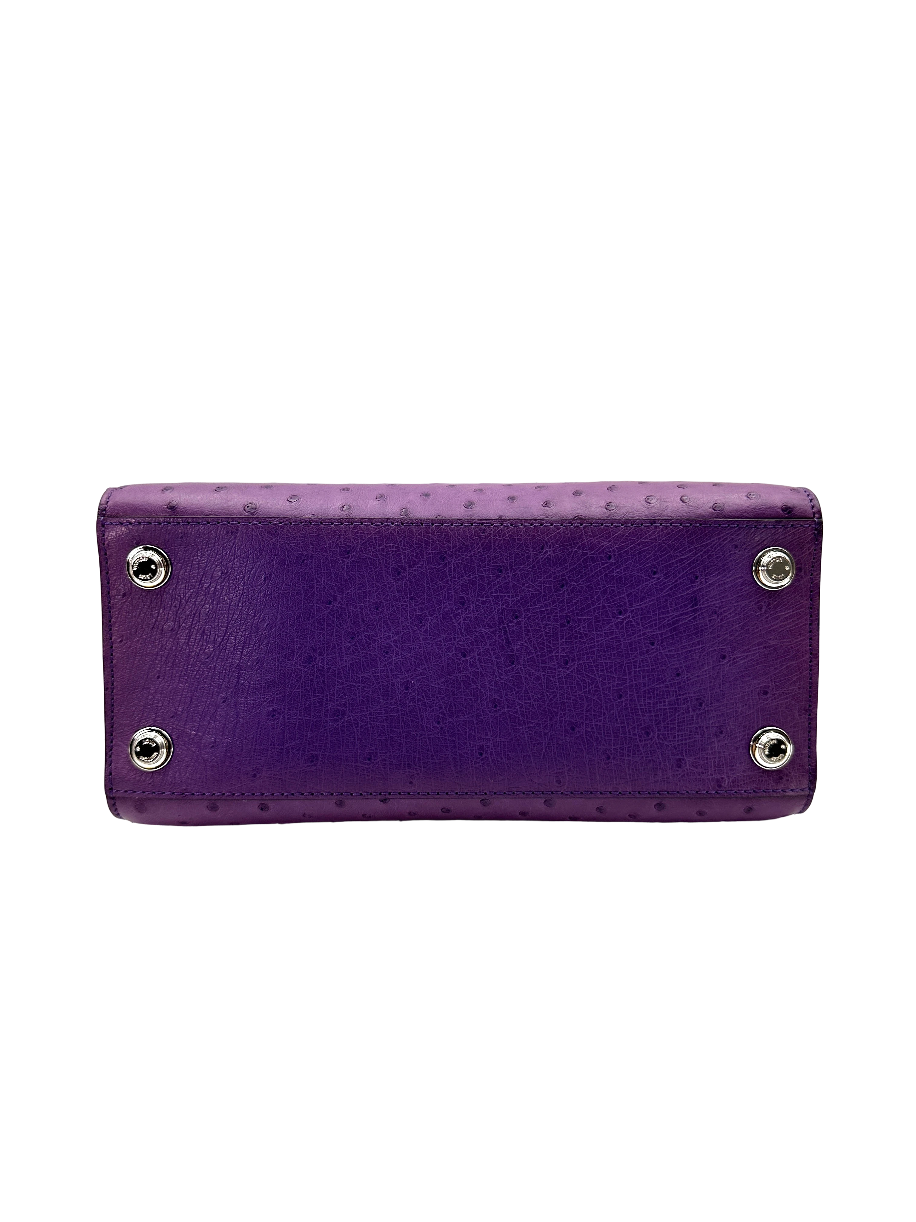 Louis Vuitton City Steamer Purple Ostrich Leather Handle Bag IRIS254