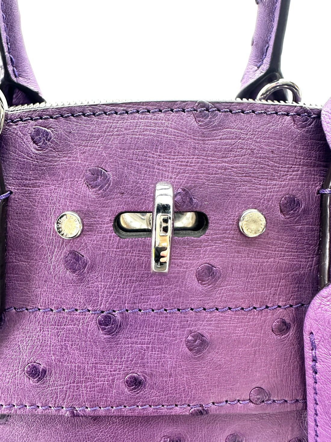 Louis Vuitton City Steamer Purple Ostrich Leather Handle Bag IRIS254
