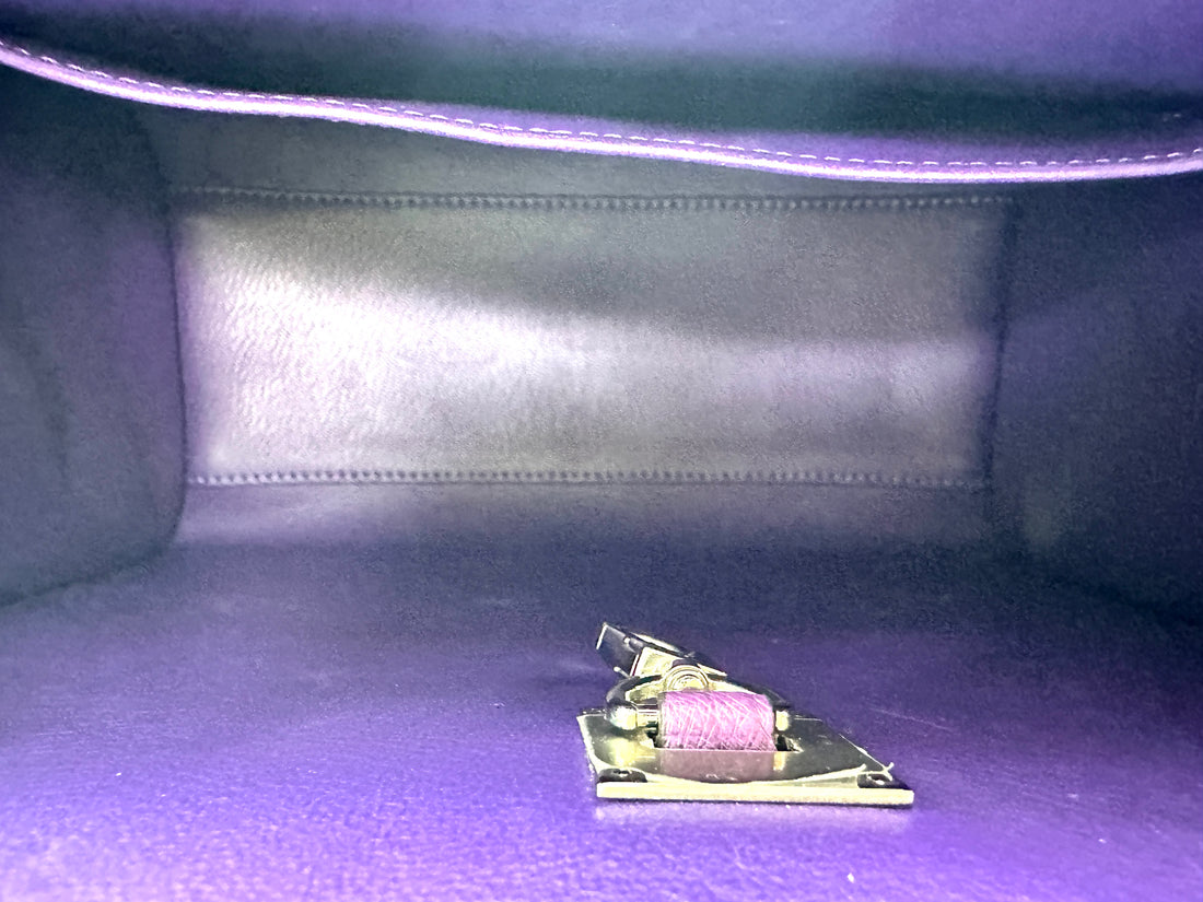 Louis Vuitton City Steamer Purple Ostrich Leather Handle Bag IRIS254