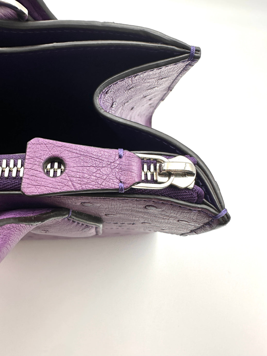 Louis Vuitton City Steamer Purple Ostrich Leather Handle Bag IRIS254
