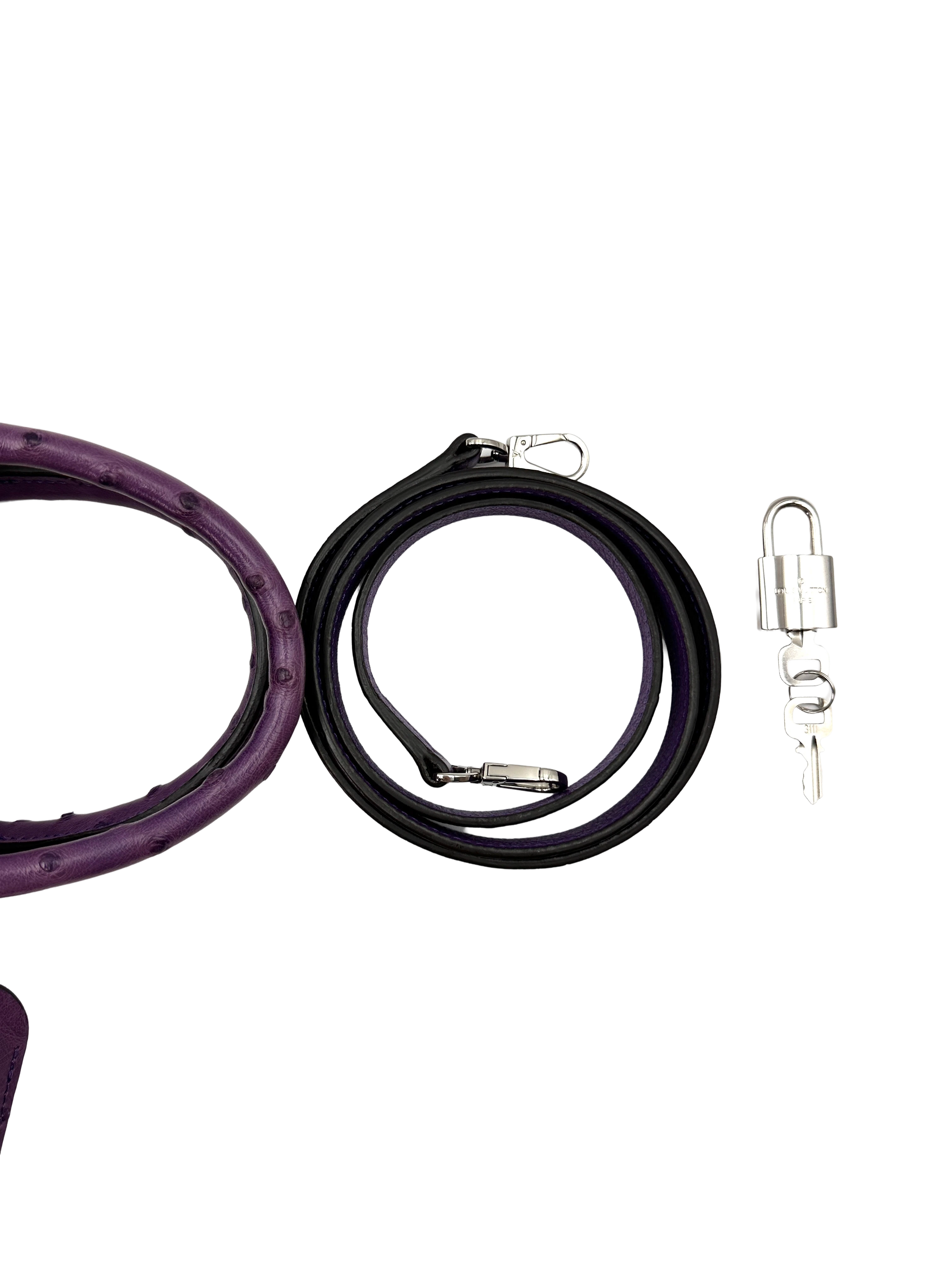 Louis Vuitton City Steamer Purple Ostrich Leather Handle Bag IRIS254